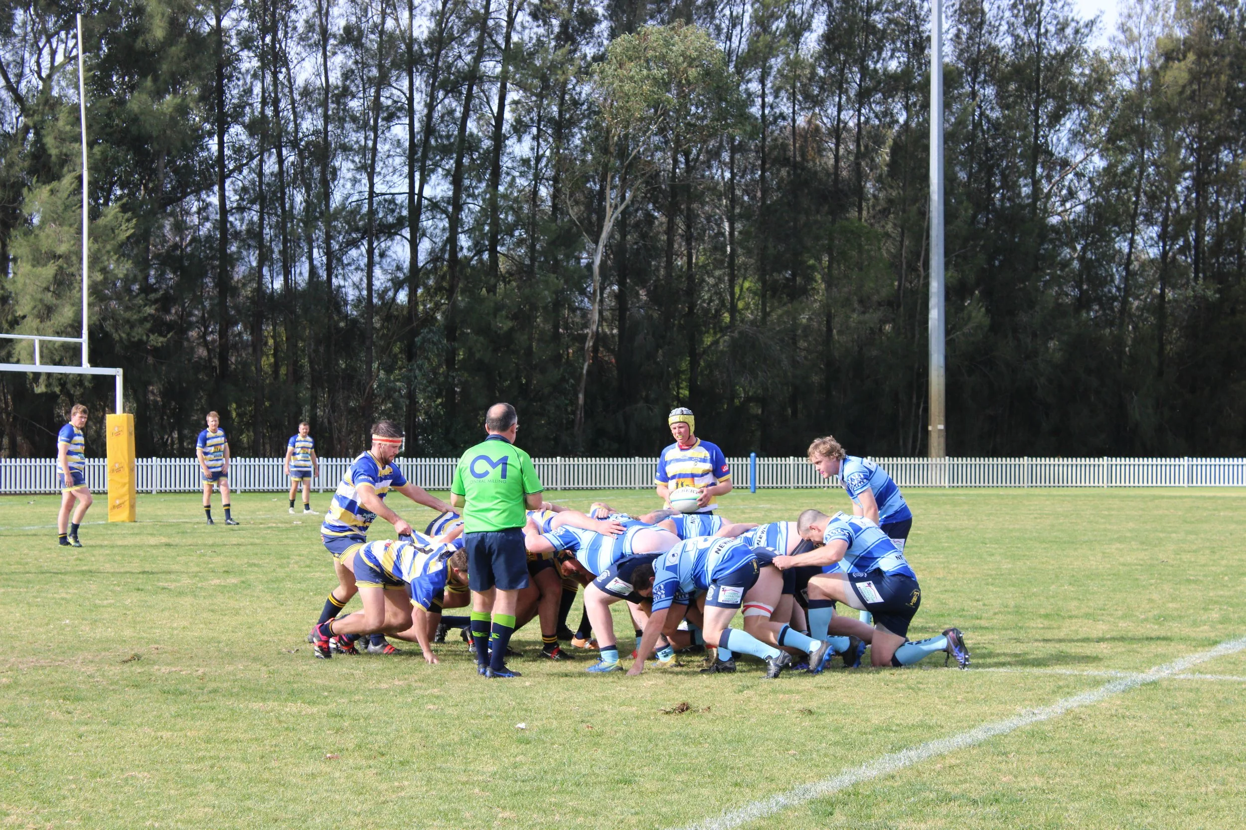 IMG_6550.JPG