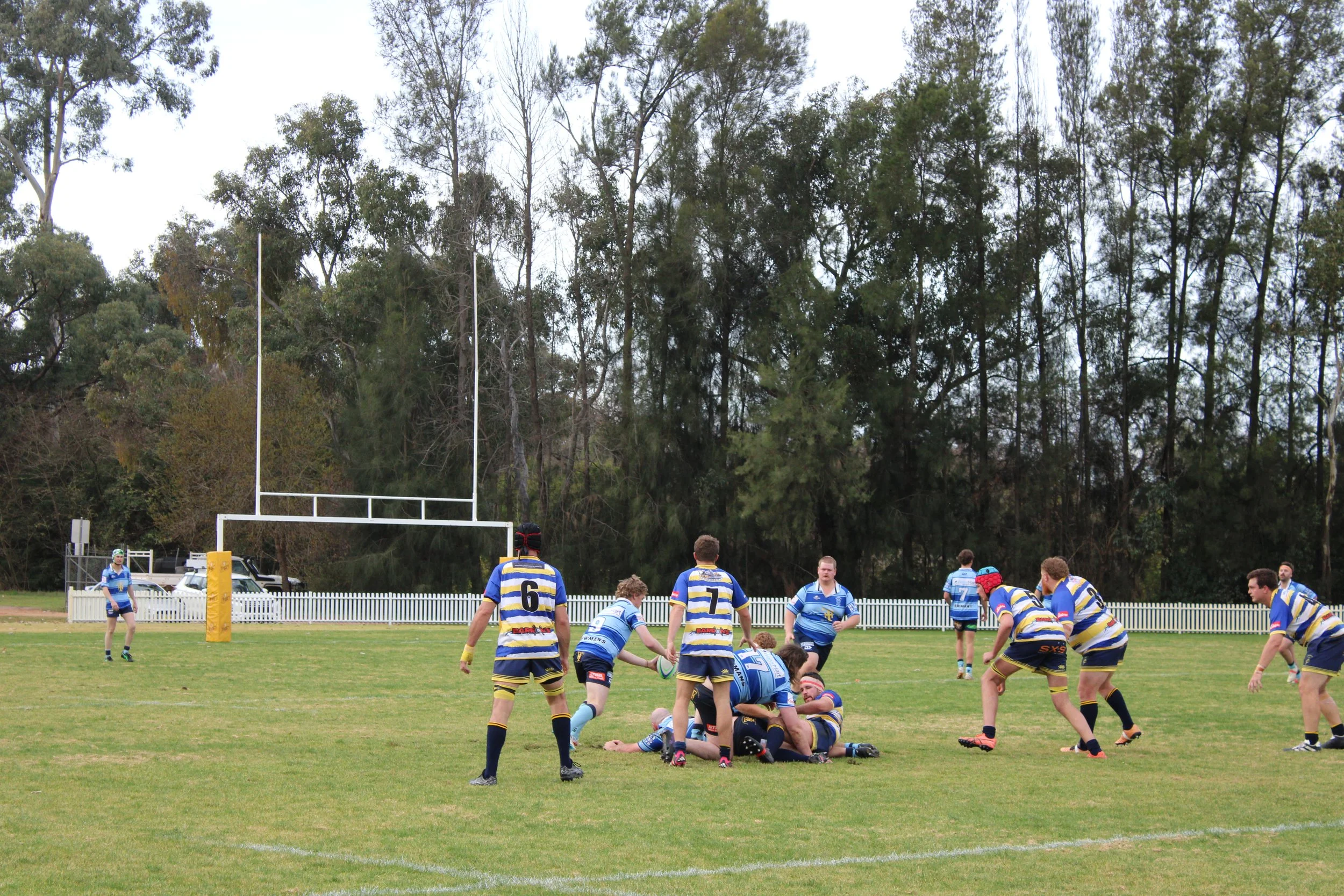 IMG_6846.JPG