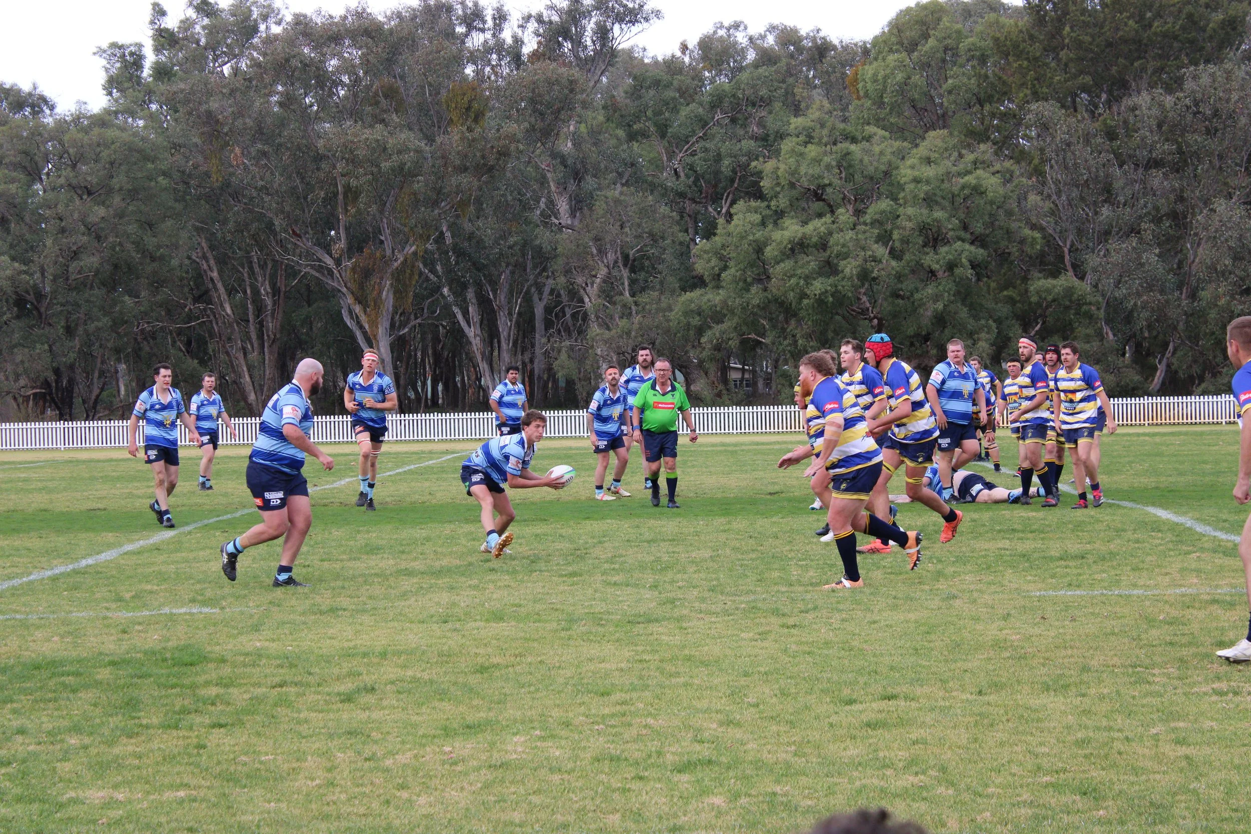 IMG_6937.JPG