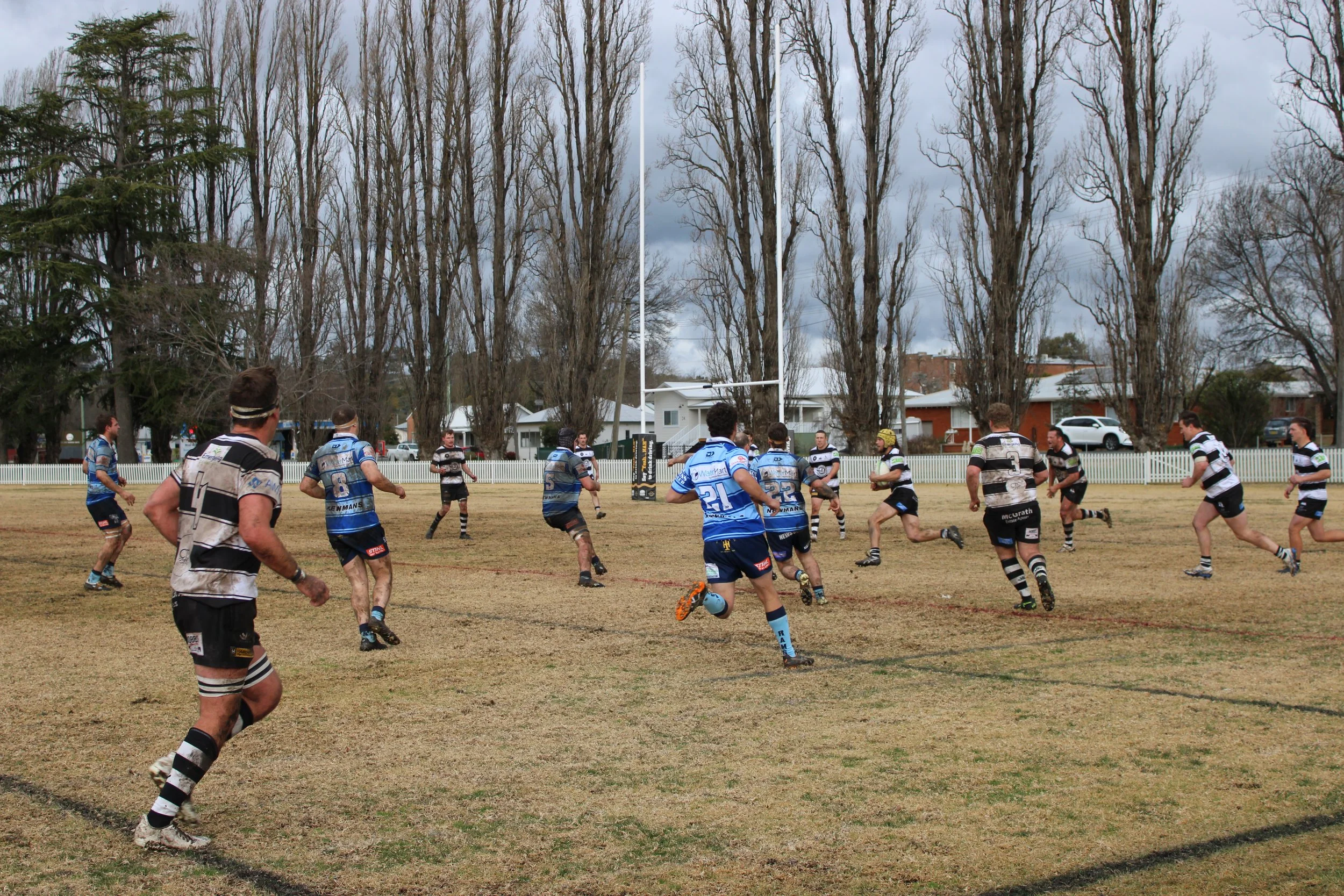 IMG_4217.JPG