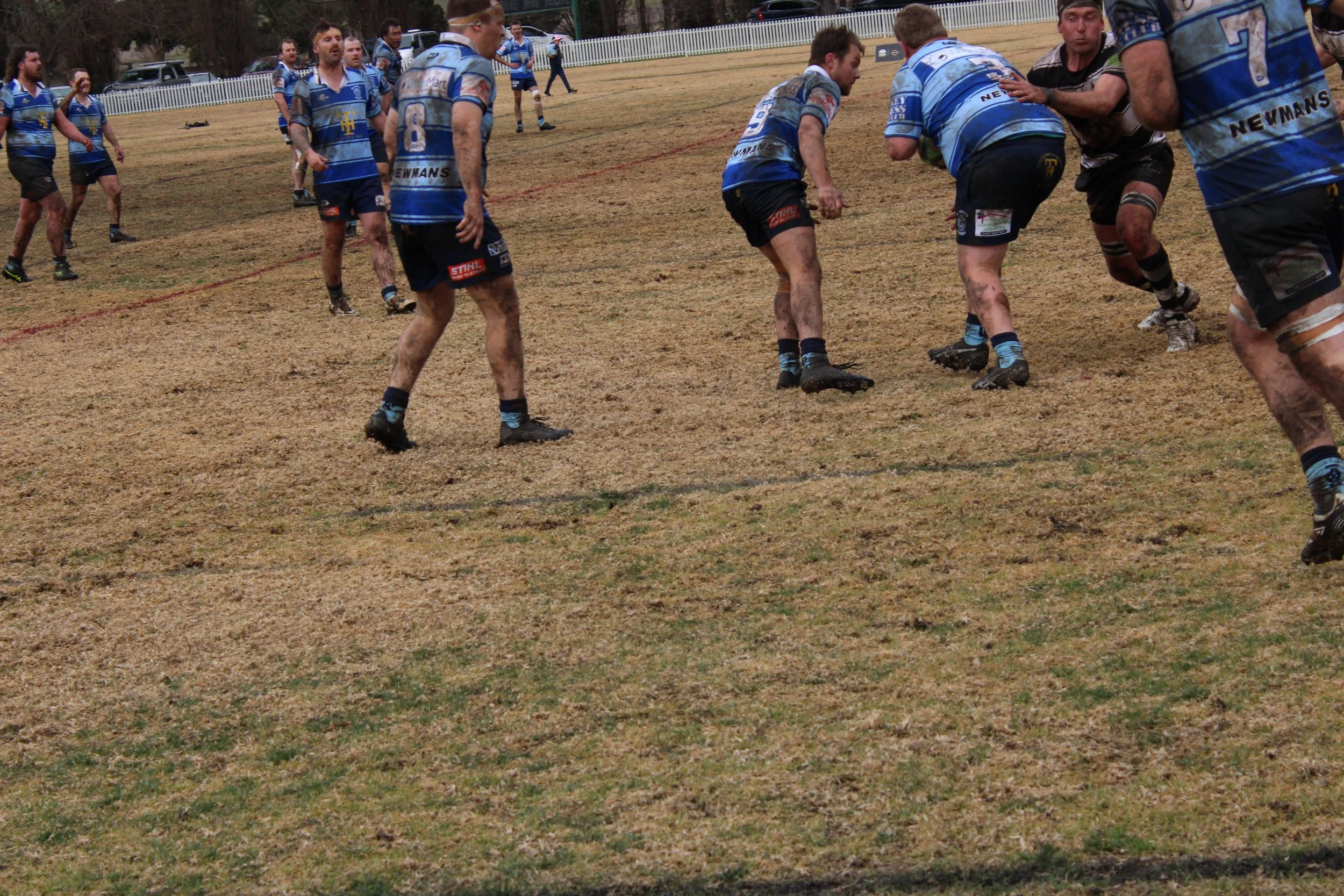 IMG_4342.JPG