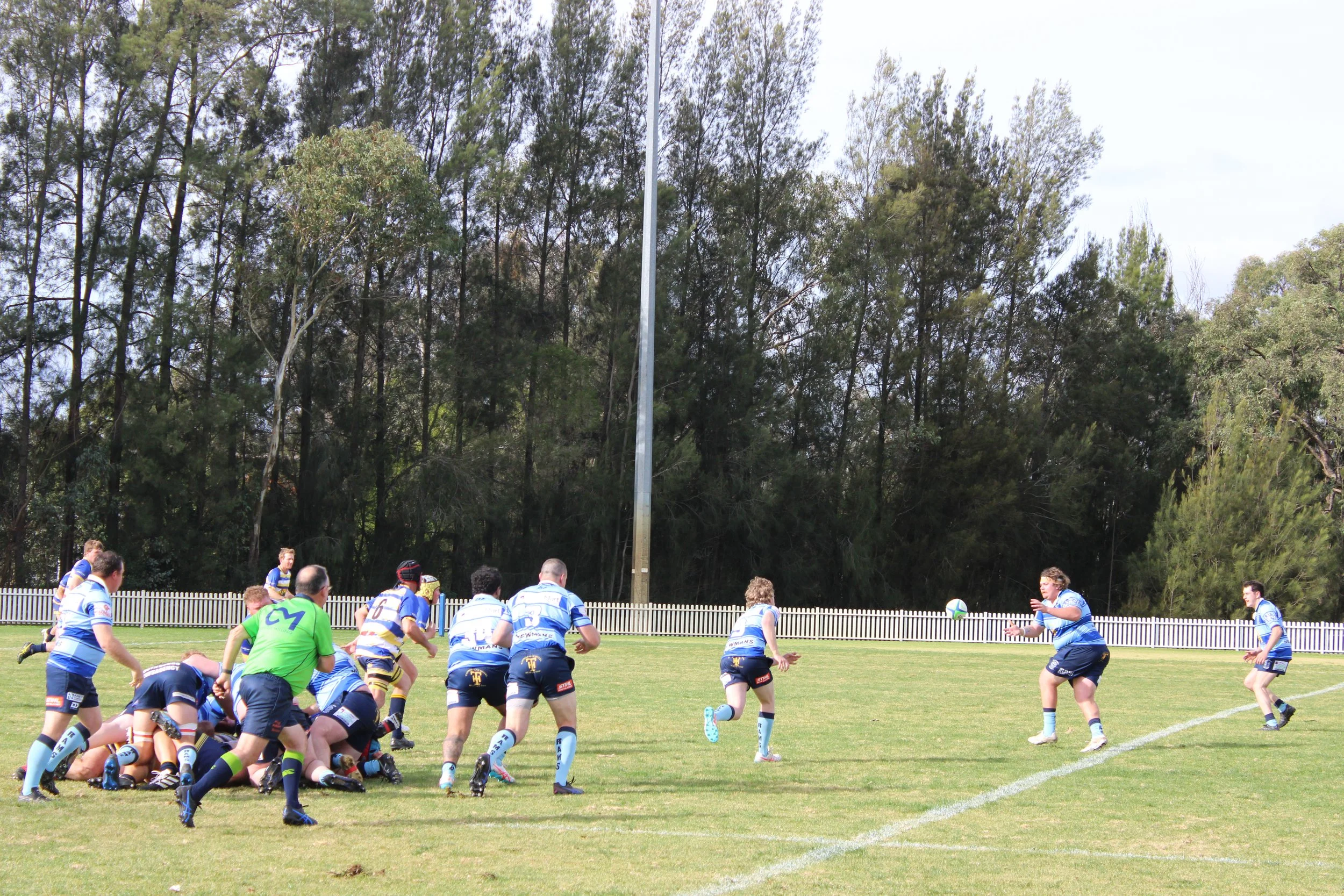 IMG_6558.JPG