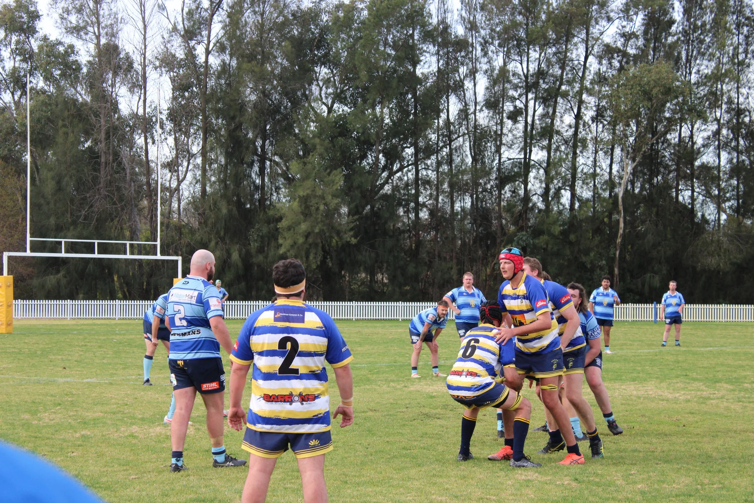 IMG_7052.JPG