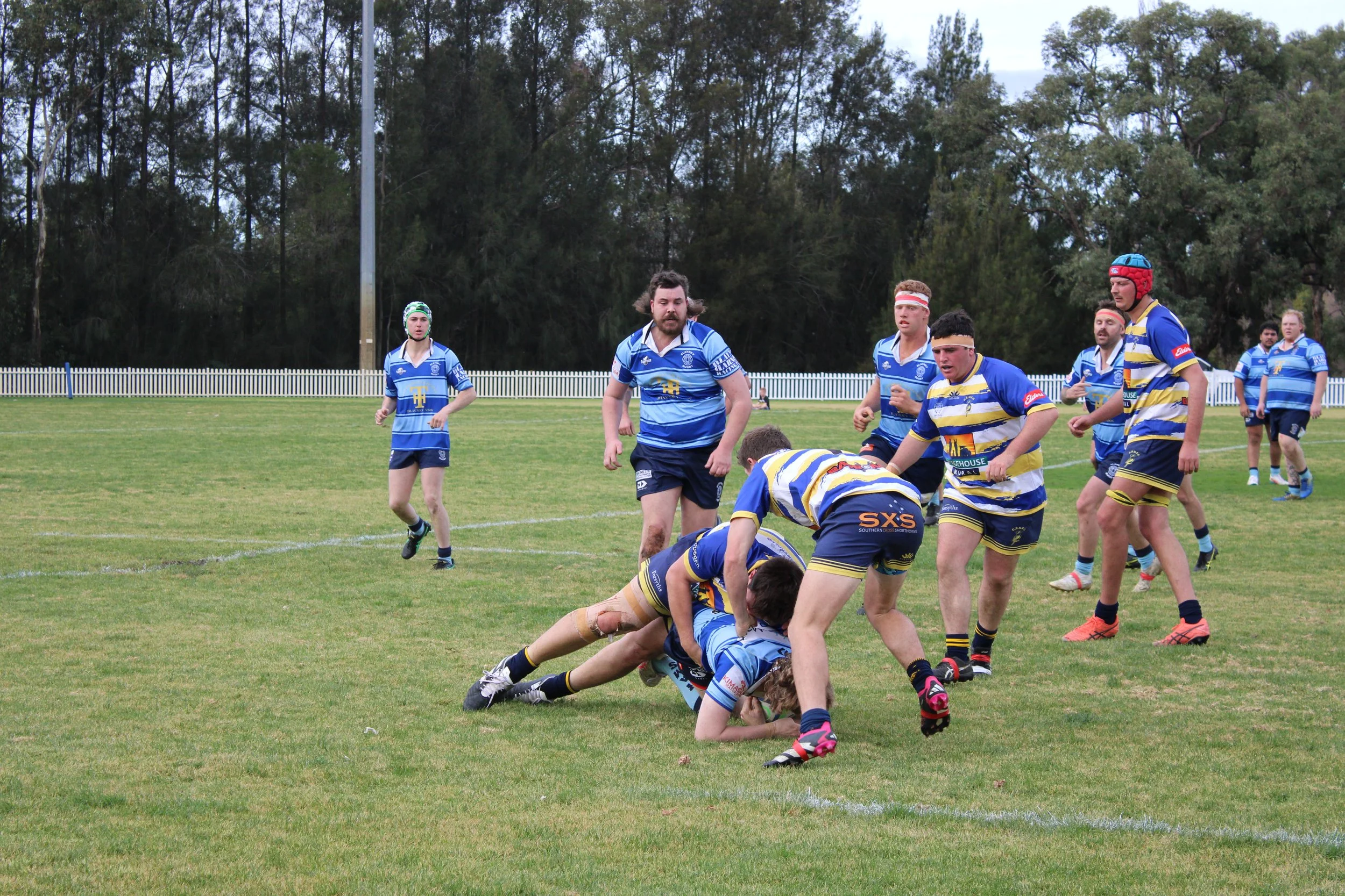 IMG_6857.JPG