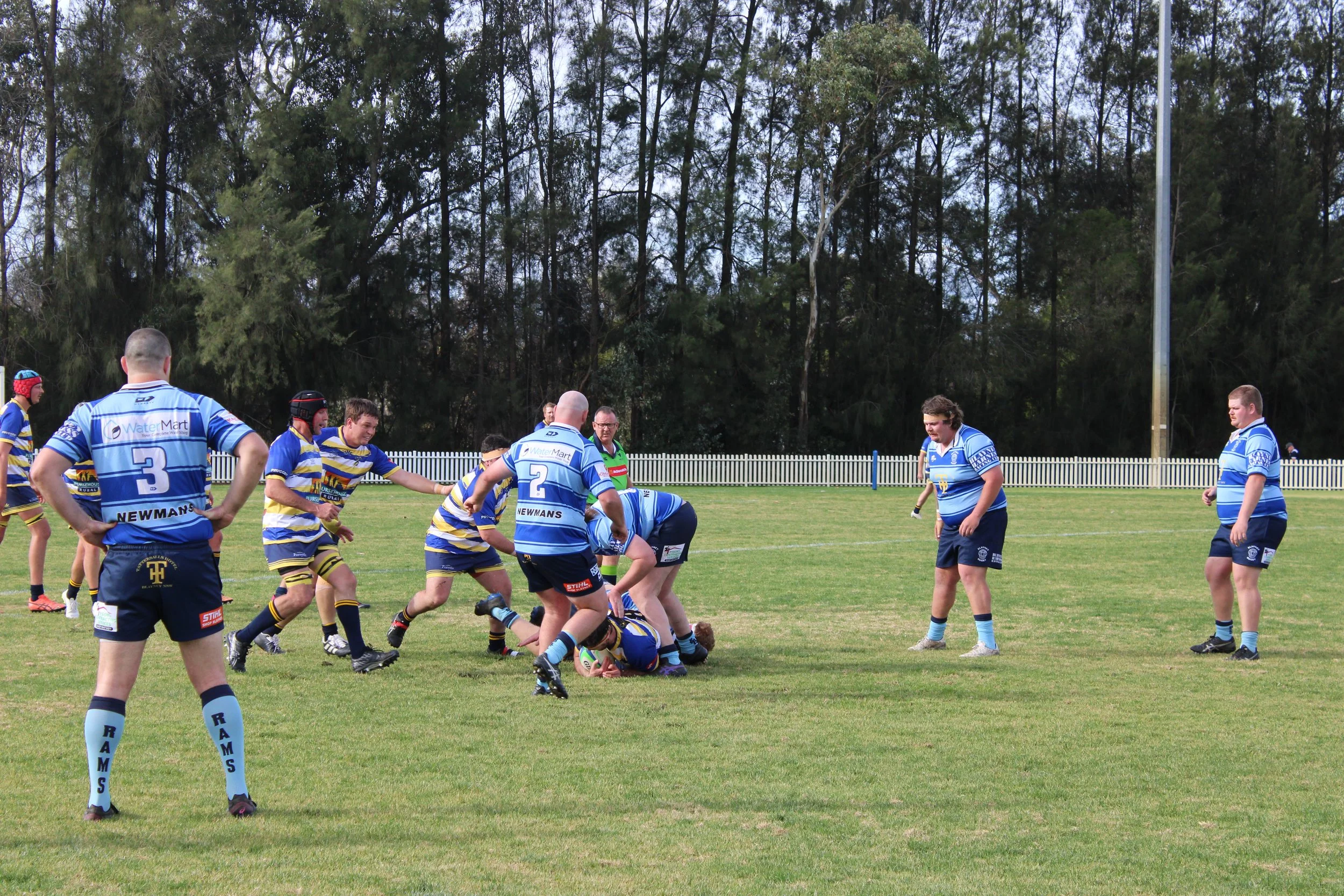 IMG_6619.JPG