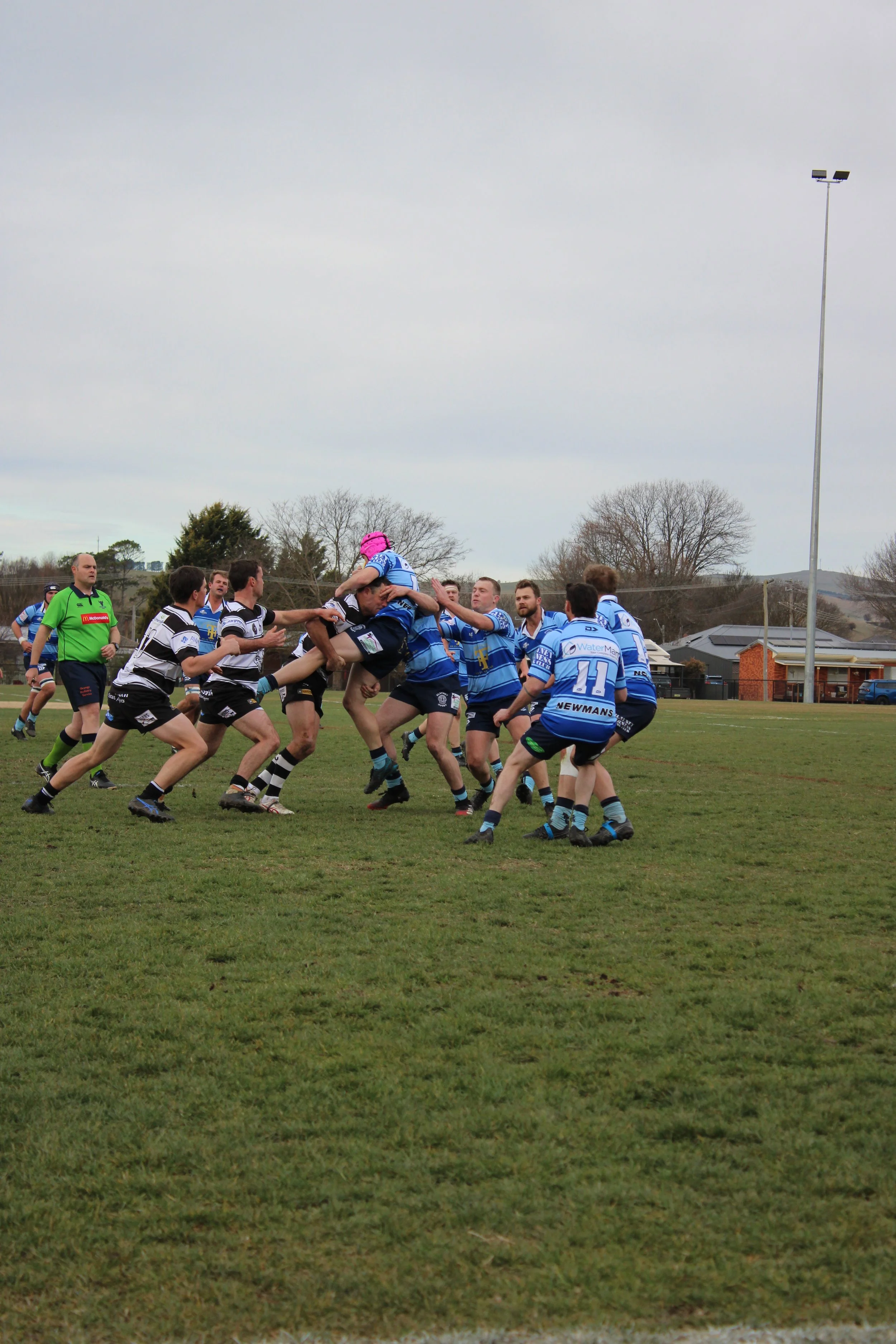 IMG_3351.JPG
