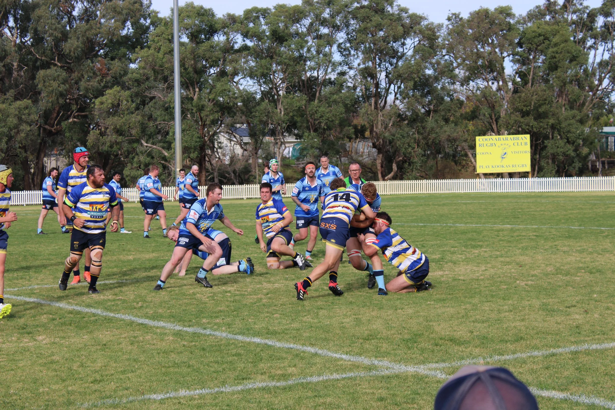 IMG_6713.JPG