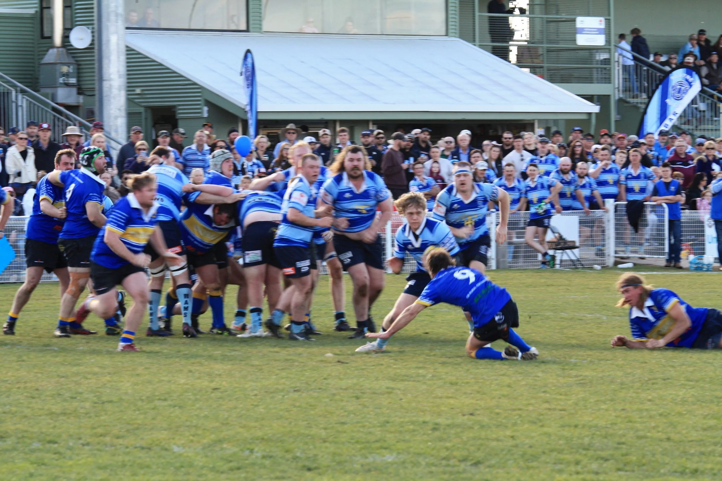 IMG_0503.JPG