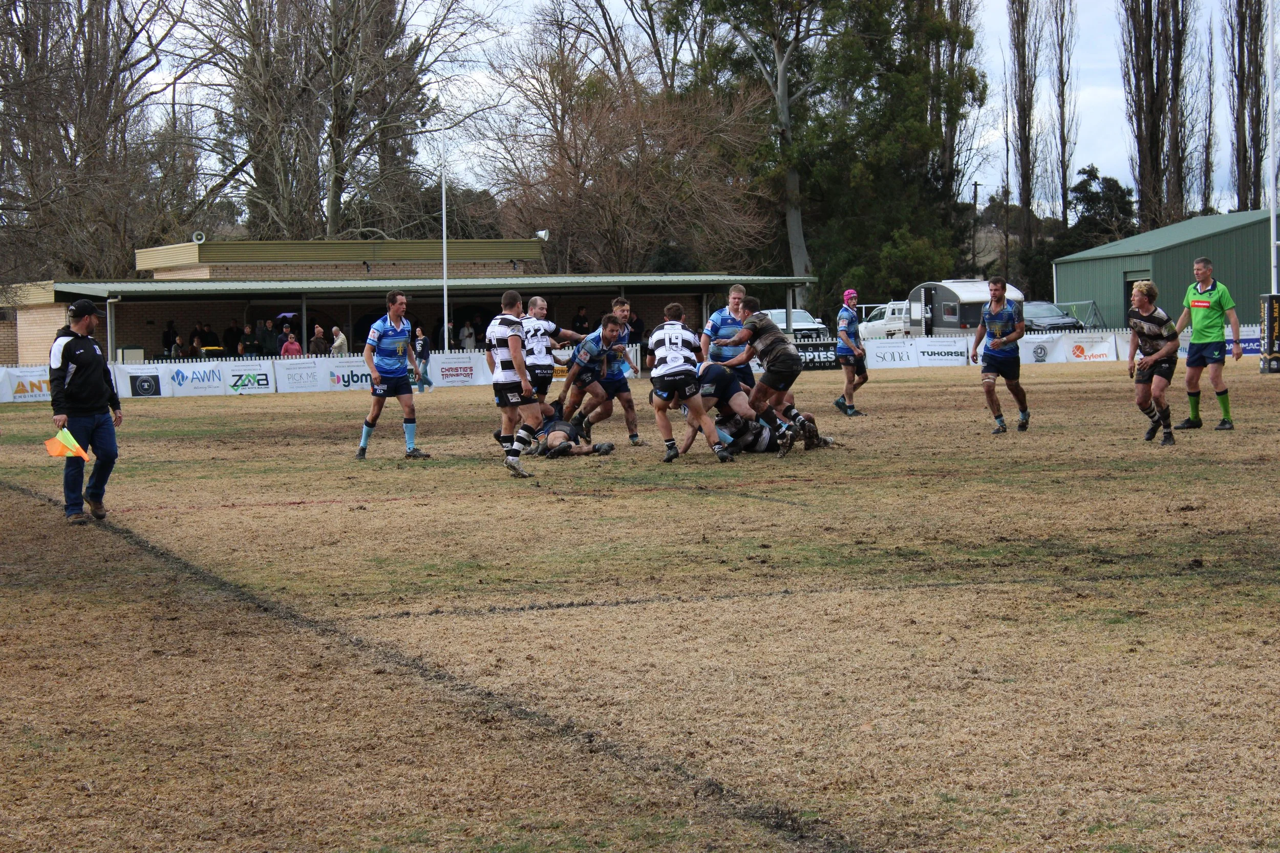 IMG_4241.JPG