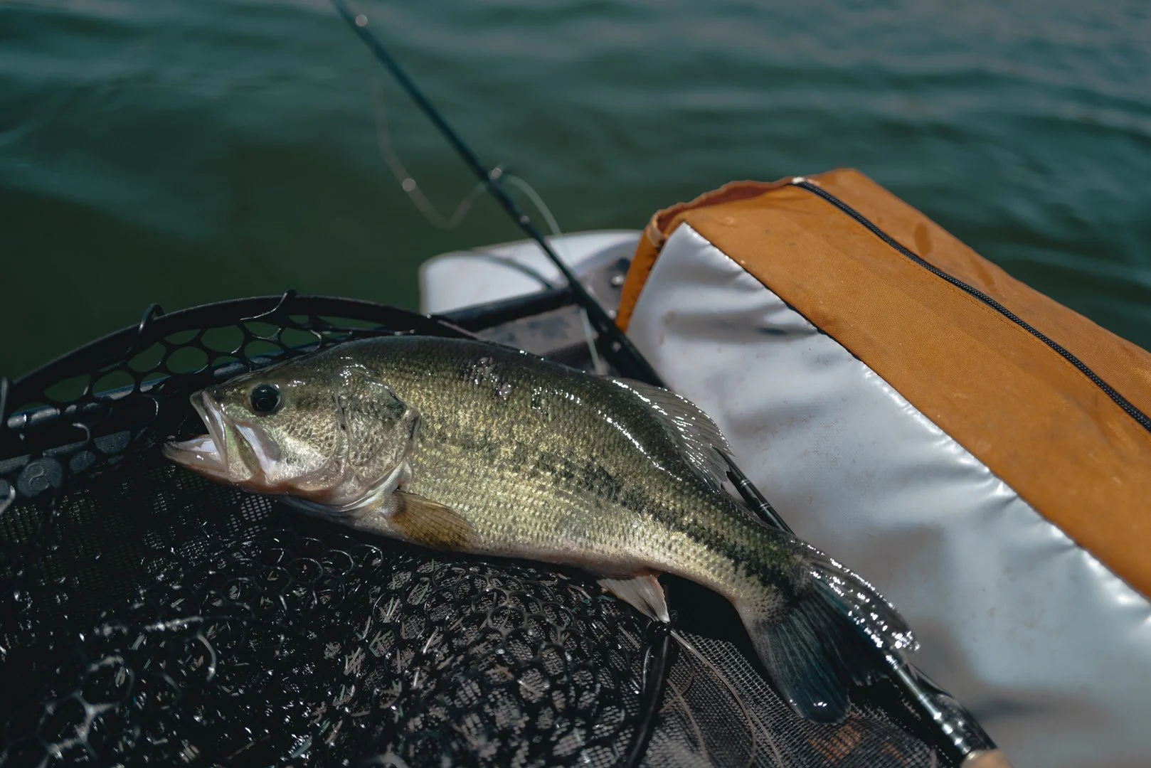 A largemouth bass fish lying on a black fishing net, with a fishing rod and an orange and white boat float visible in the background, on a body of water.