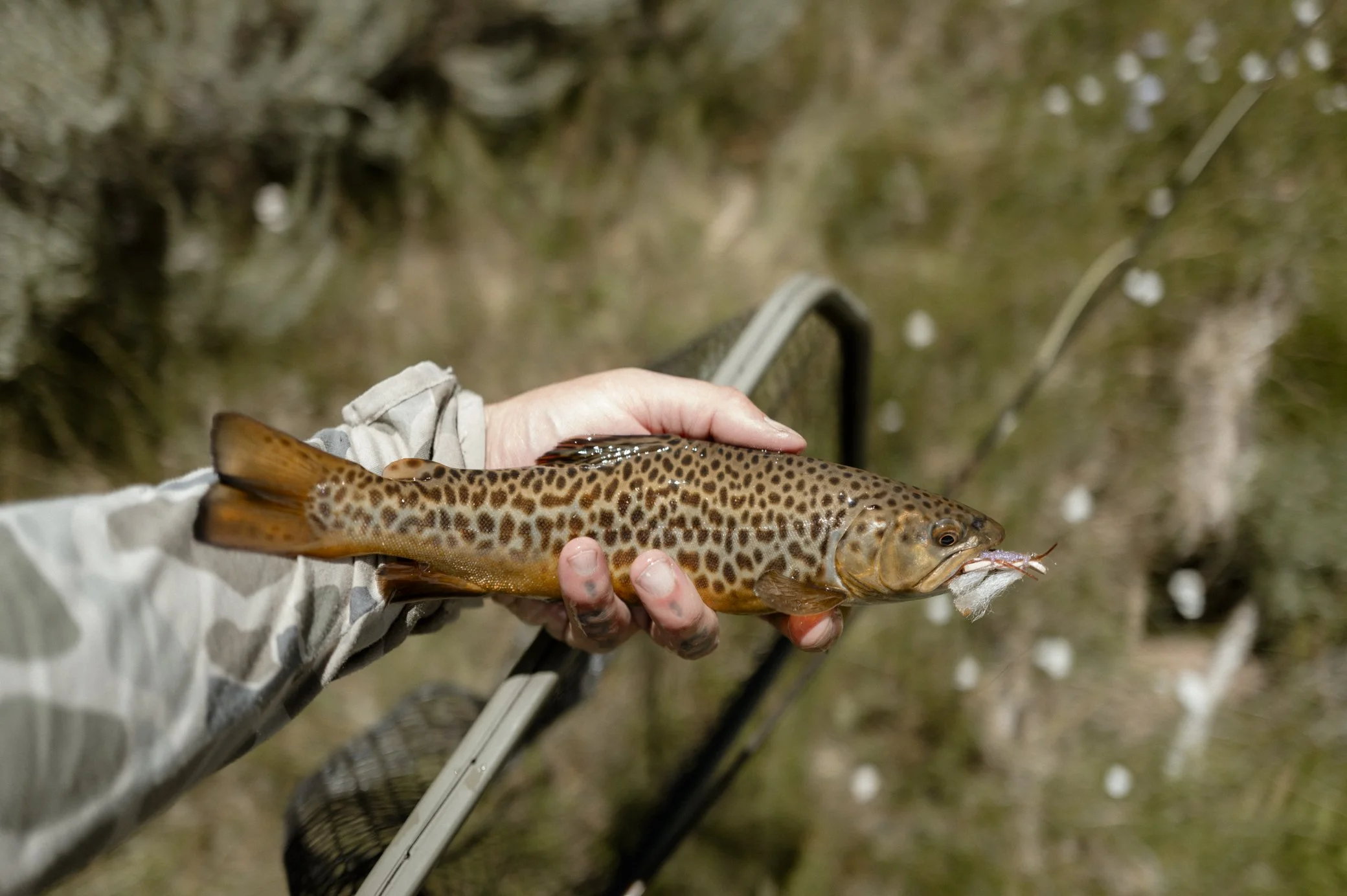 L1021335.jpg