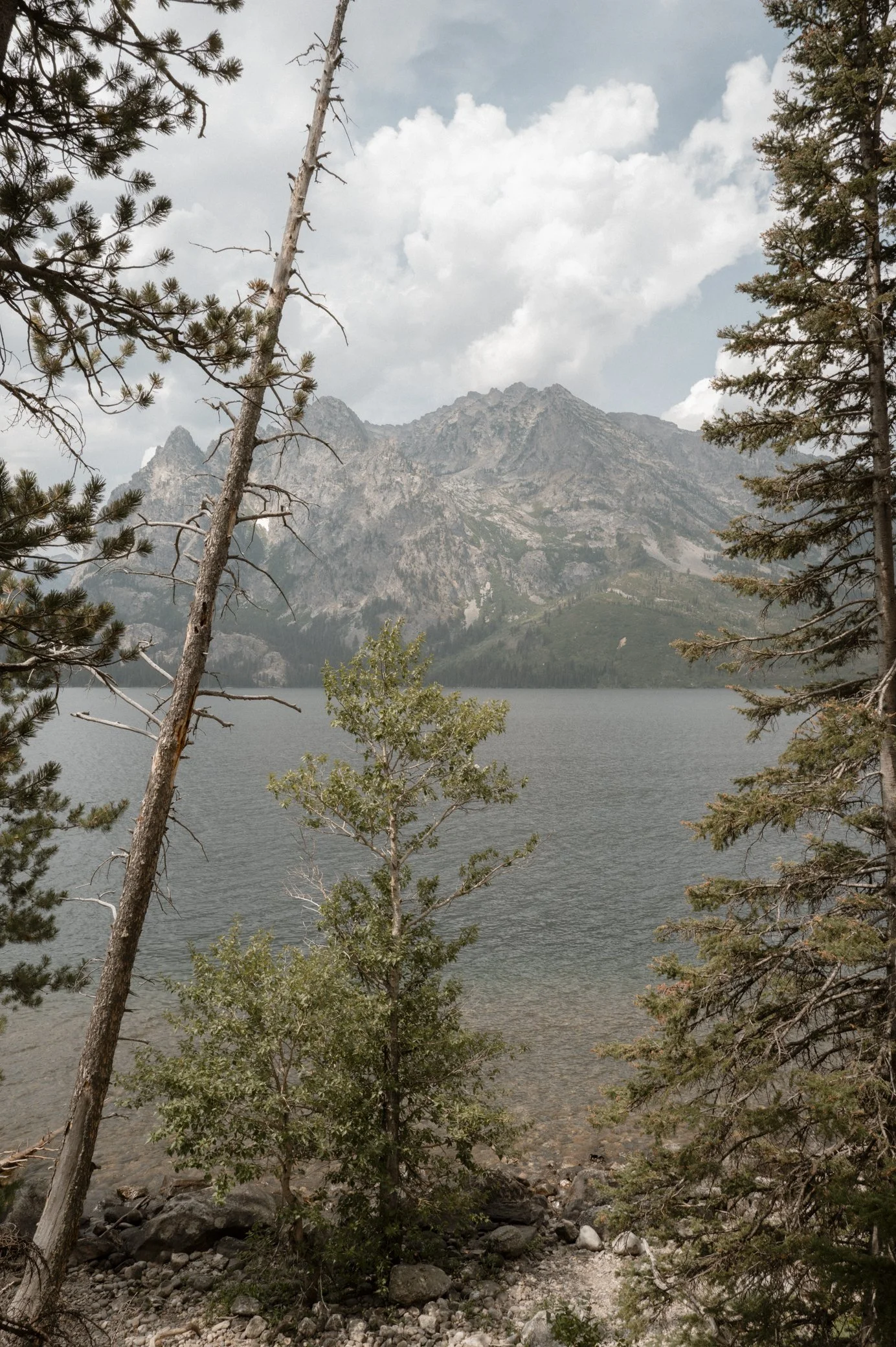 L1030056.jpg