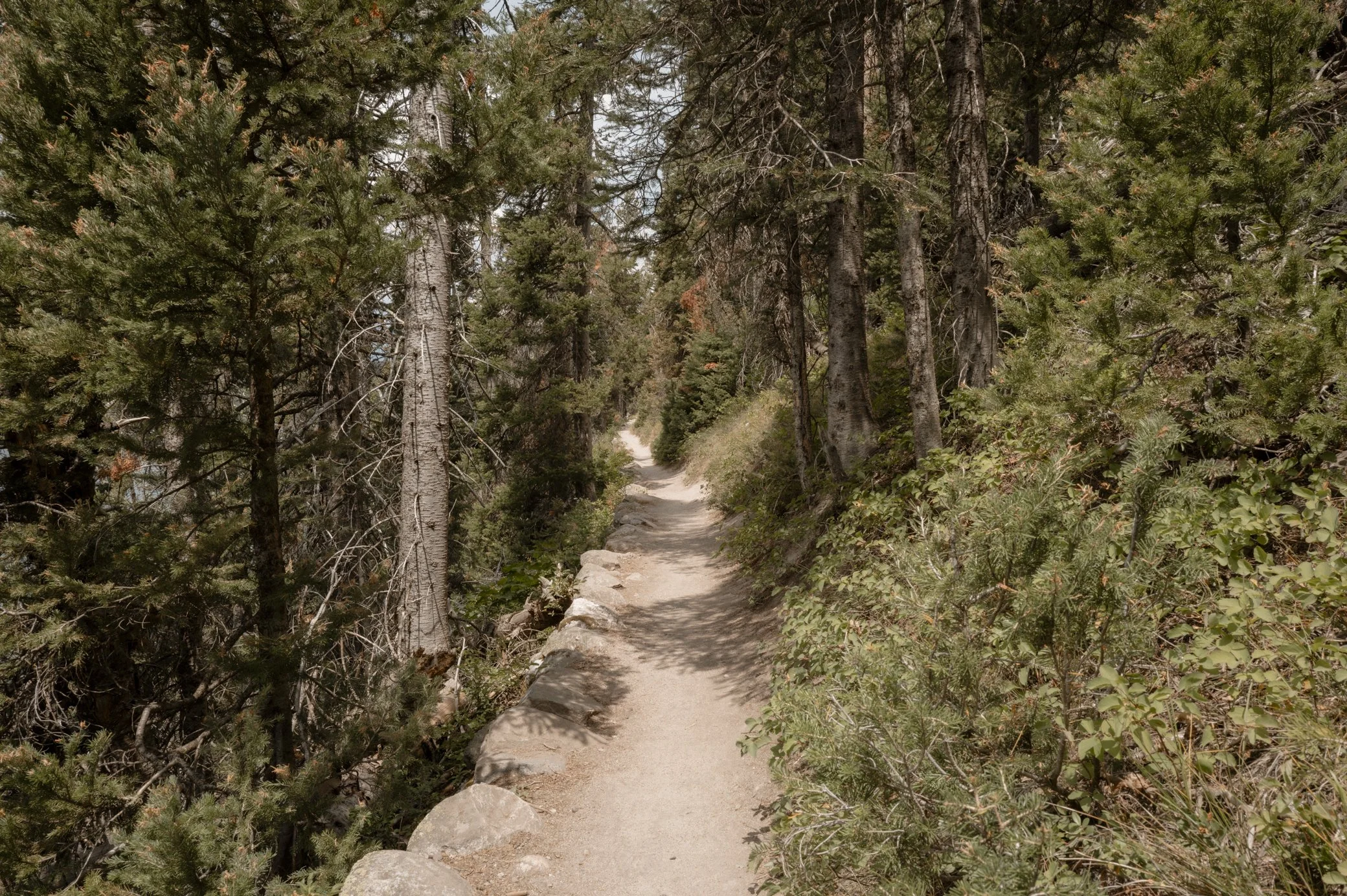L1030069.jpg