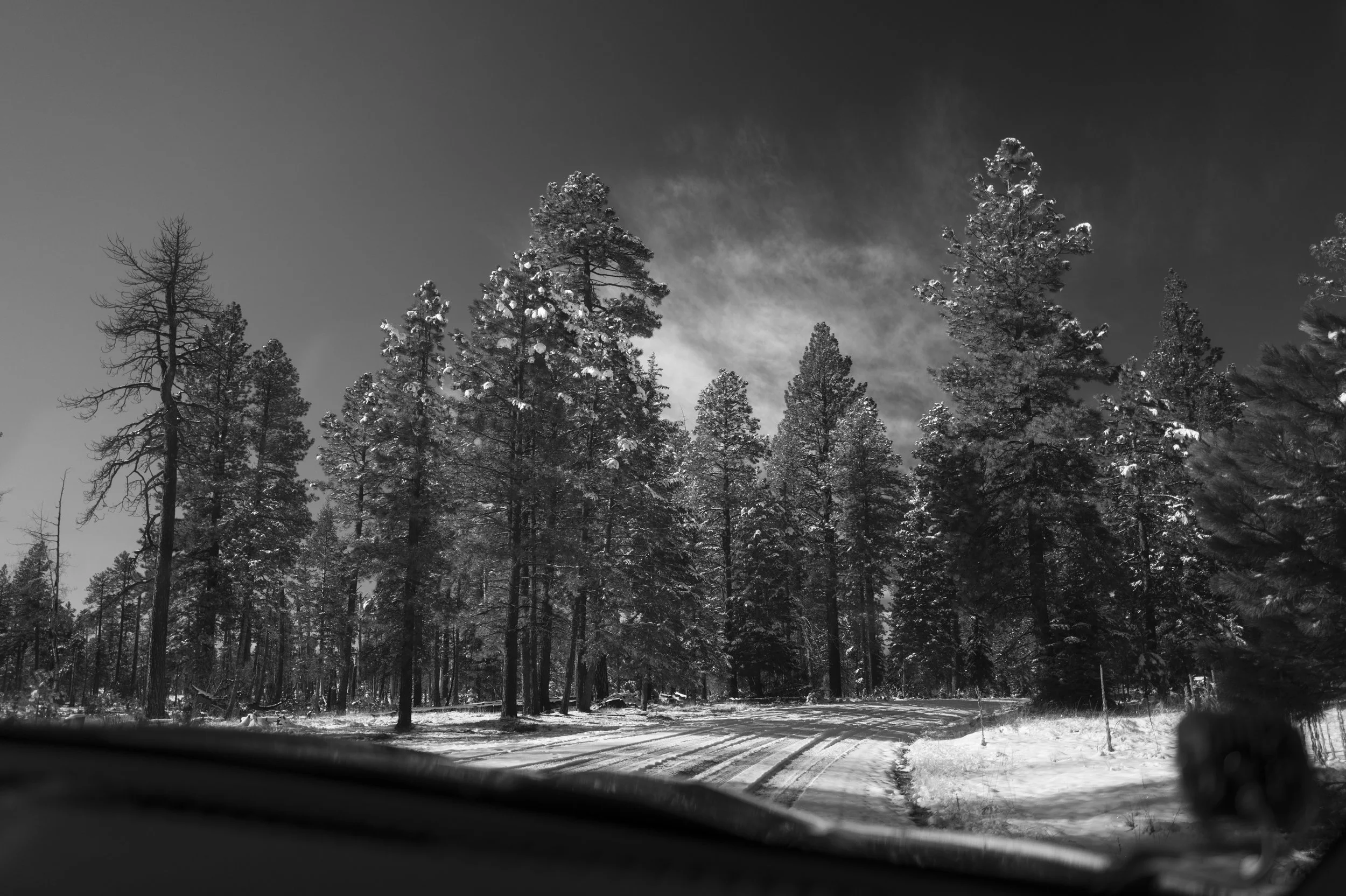L1160802.jpg