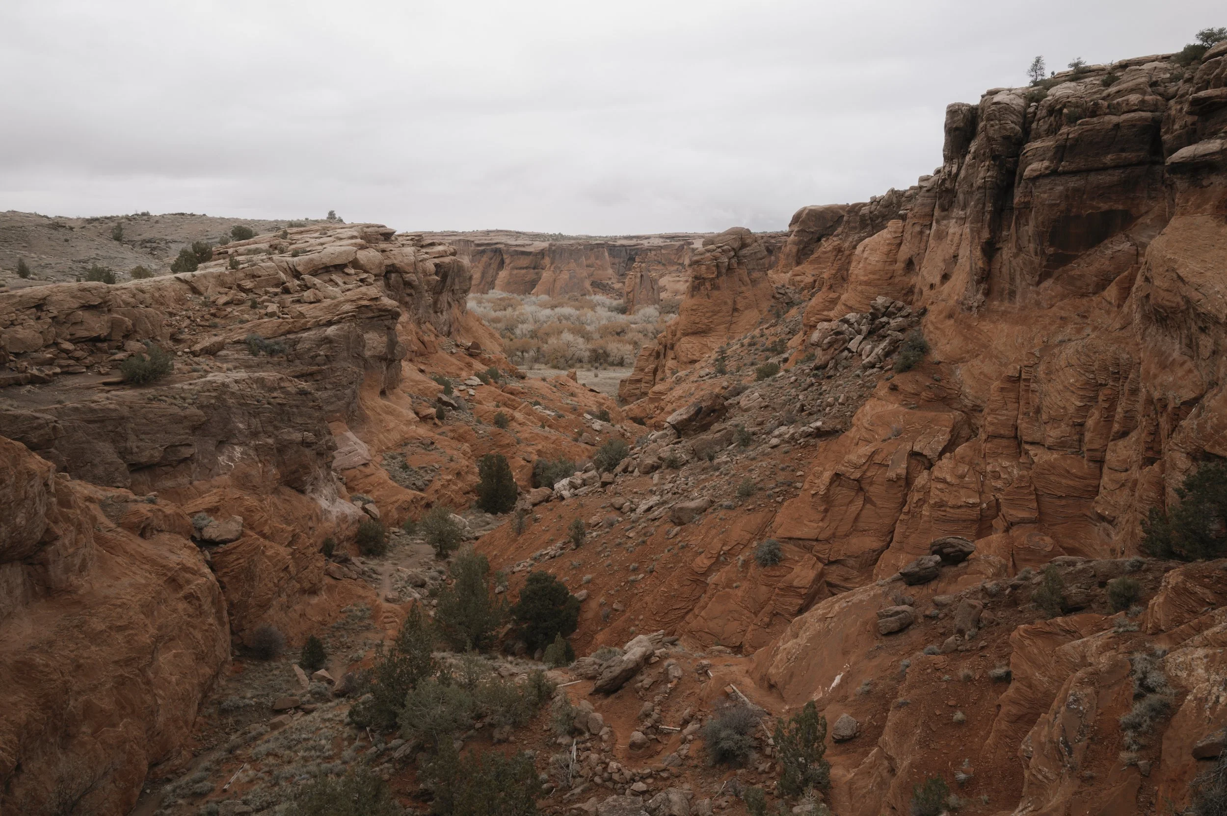 L1161251.jpg