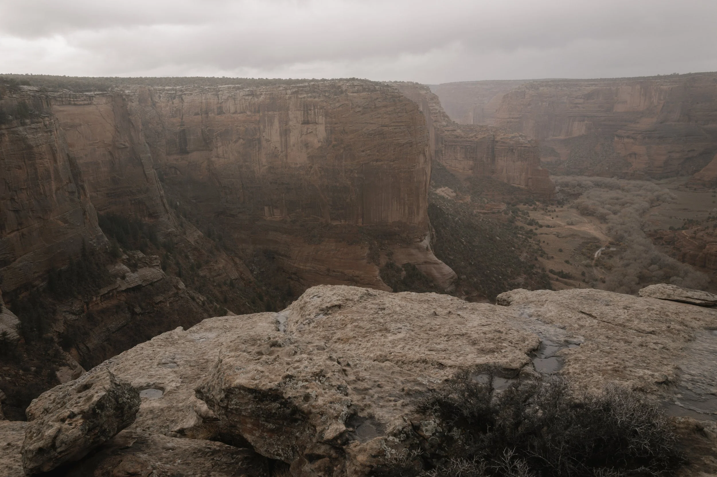 L1161310.jpg