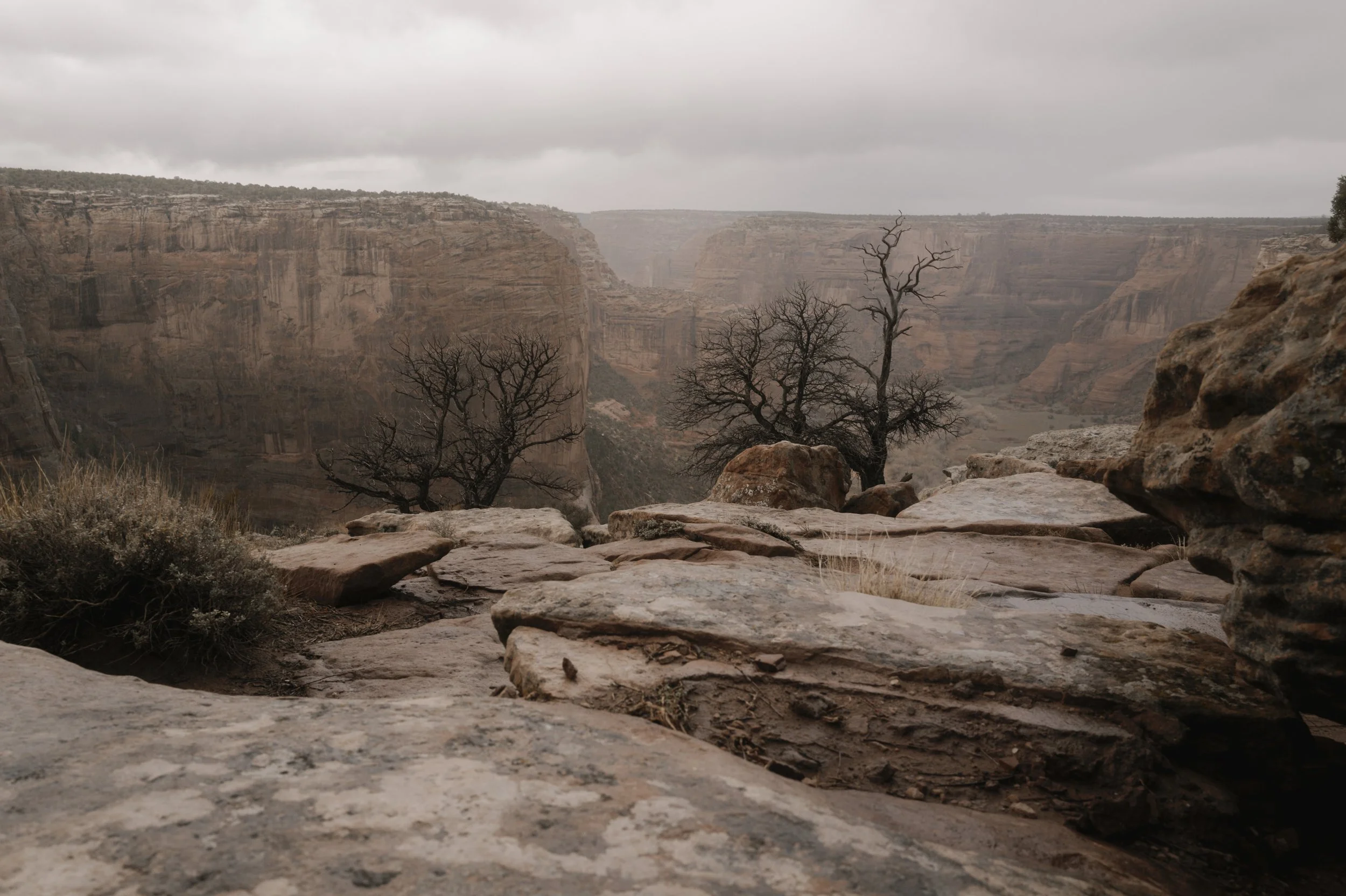 L1161321.jpg