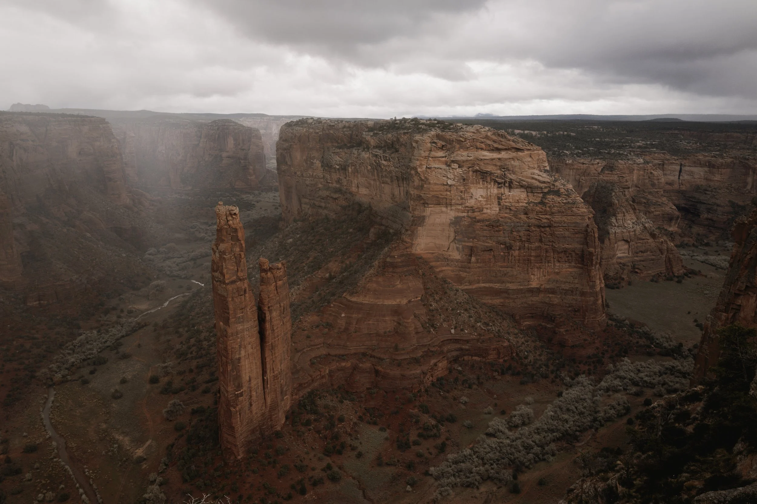 L1161336.jpg