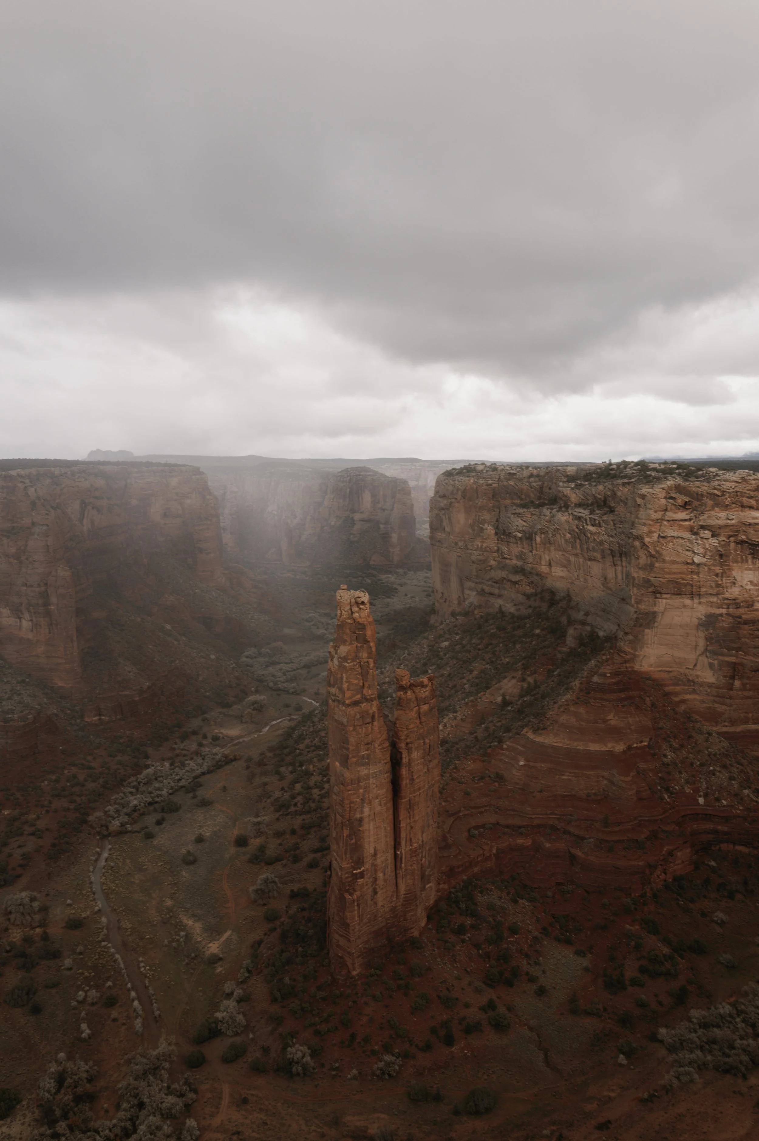 L1161346.jpg