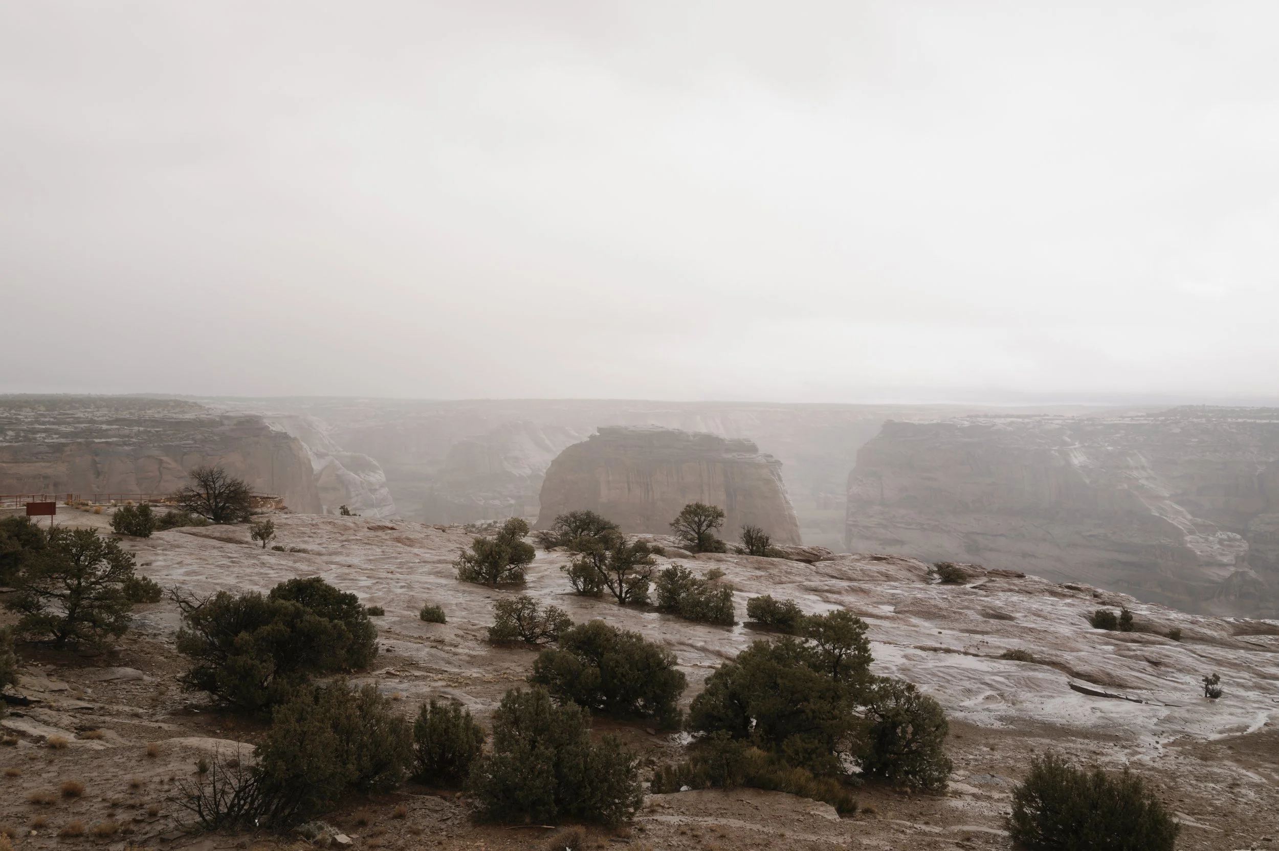 L1161380.jpg