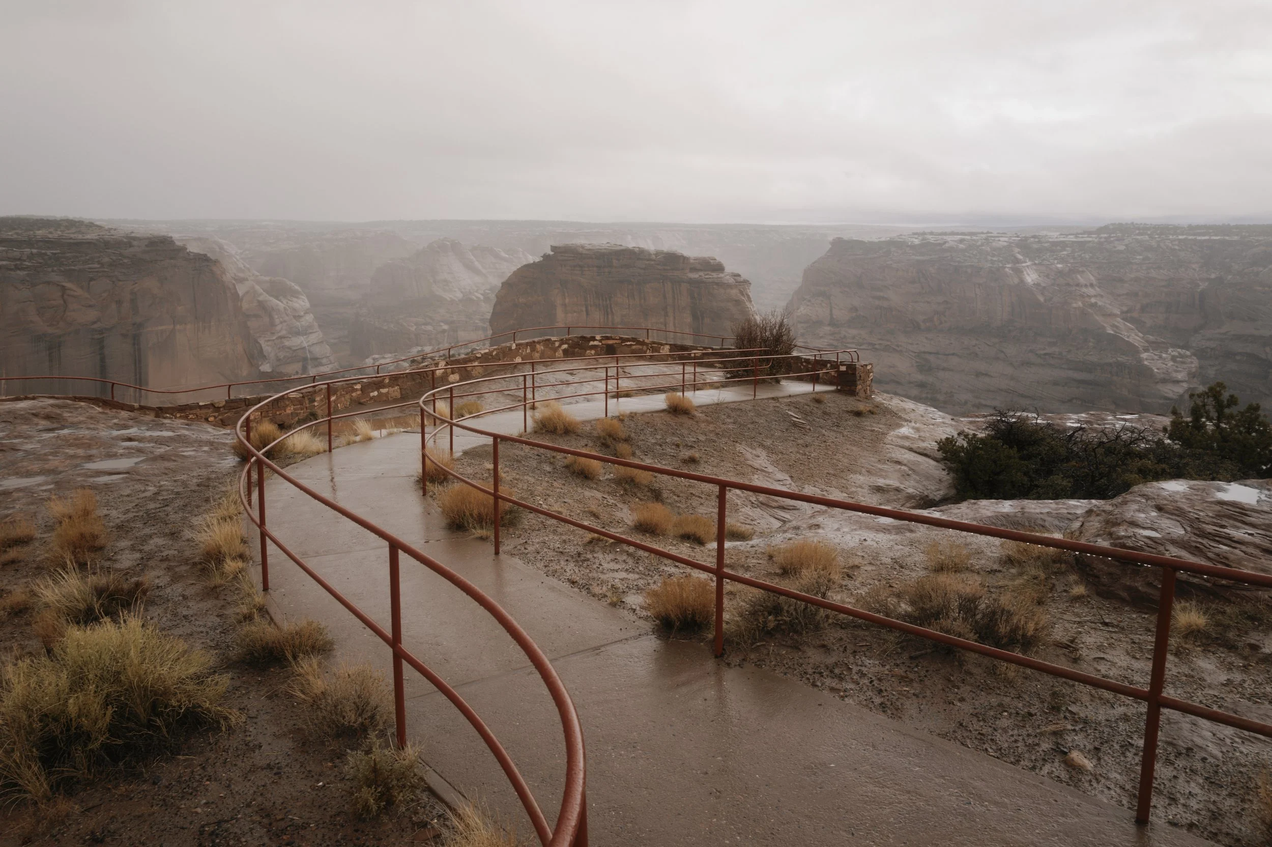 L1161386.jpg