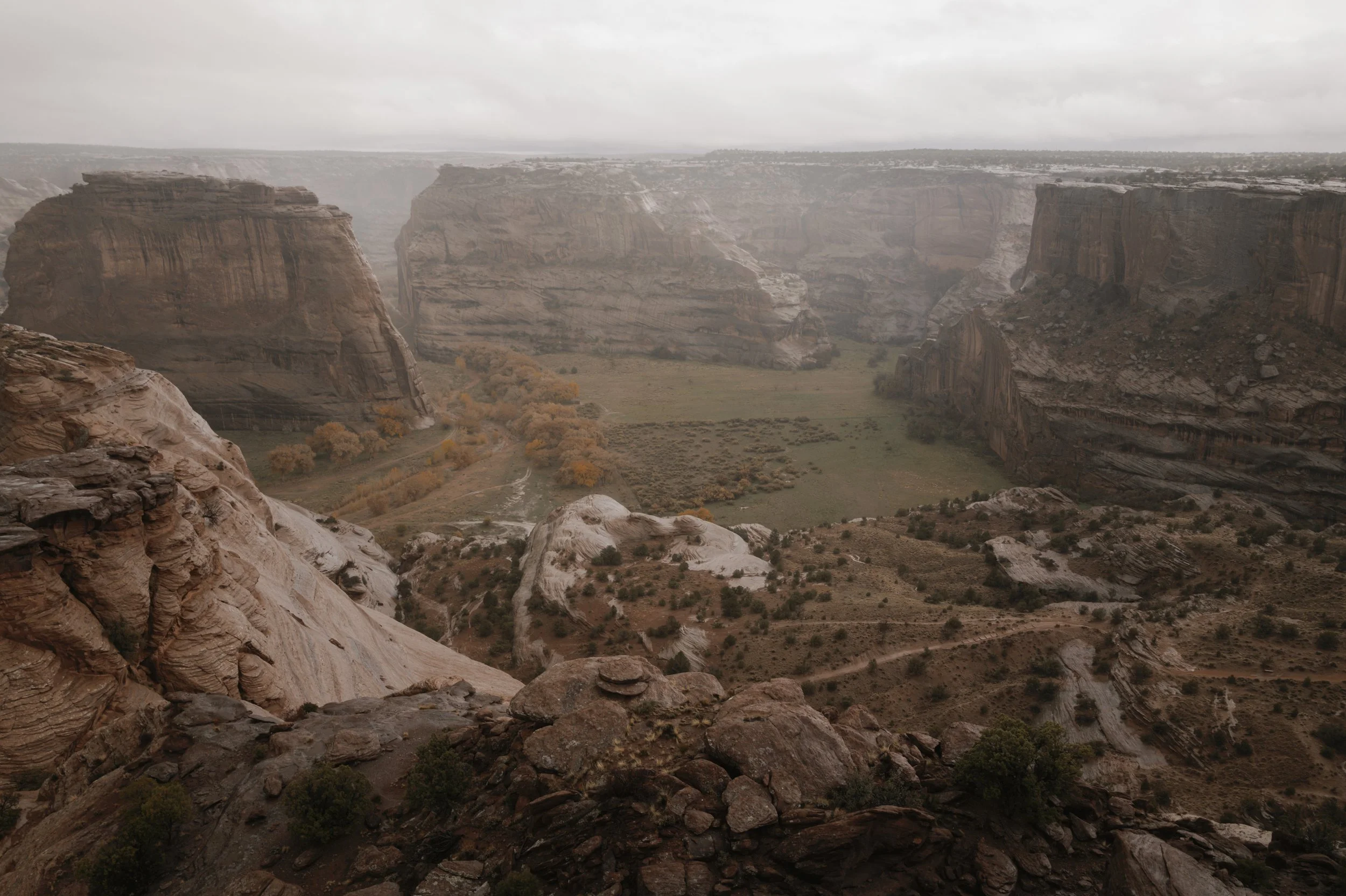 L1161388.jpg