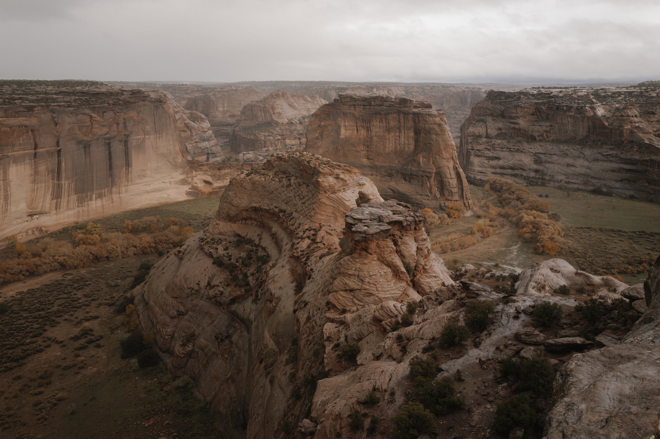 L1161410.jpg