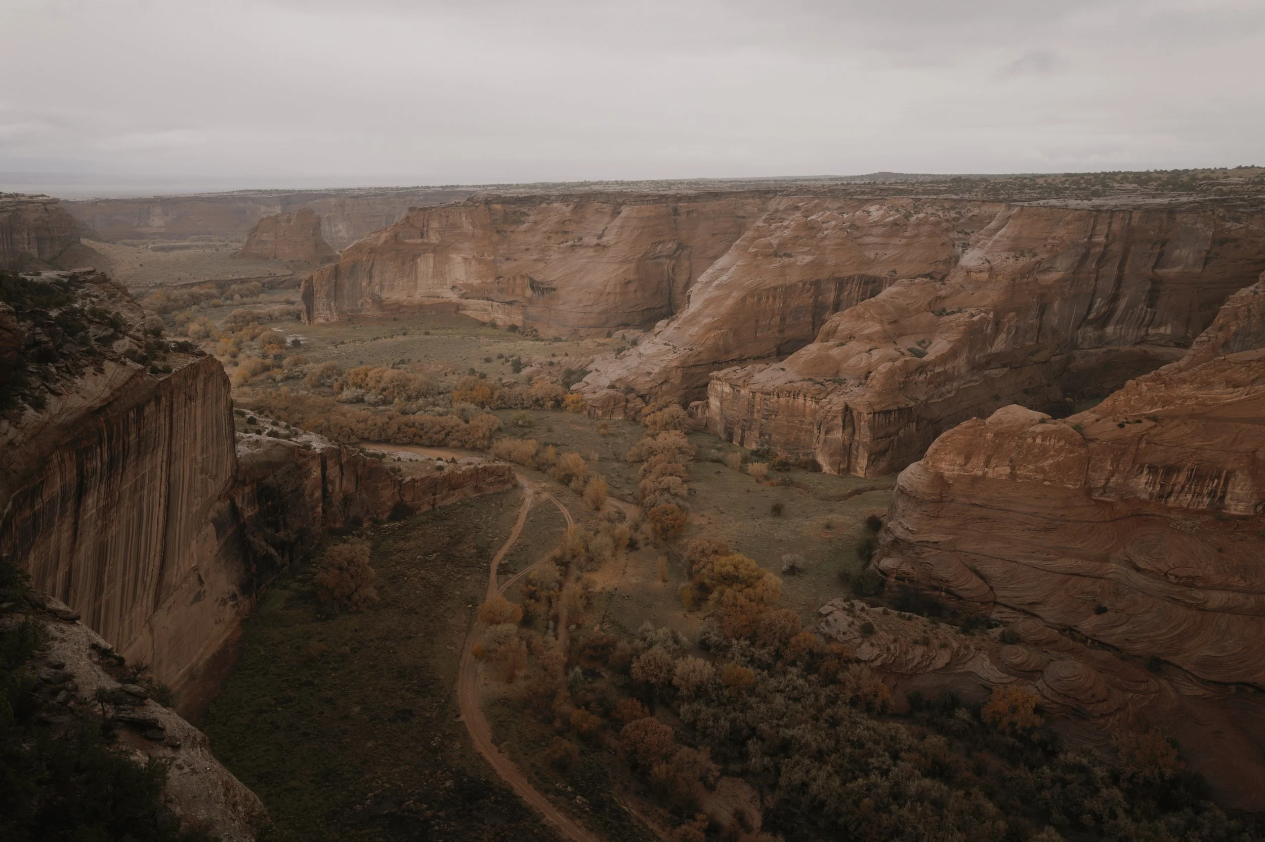 L1161425.jpg