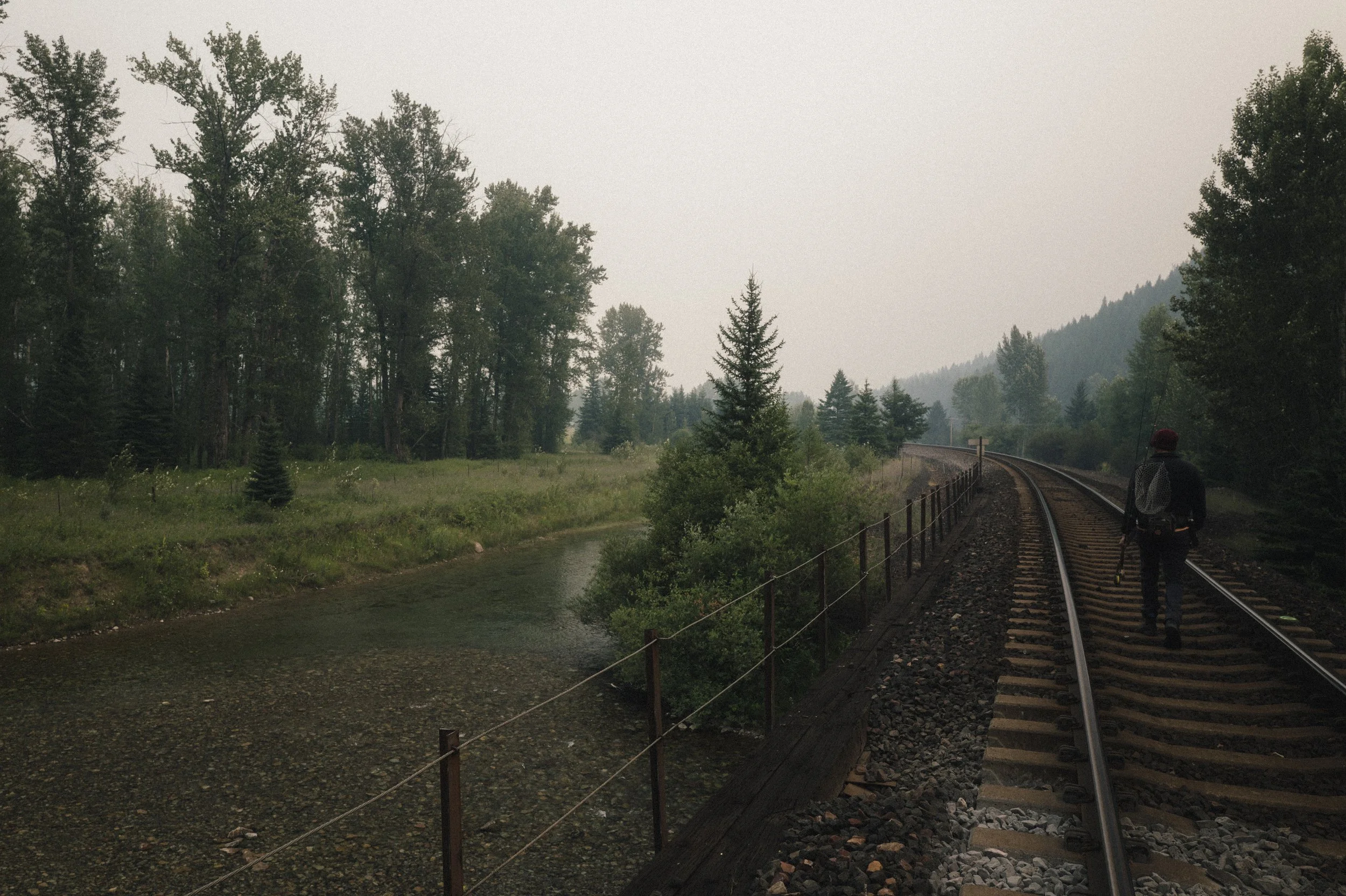 L1361542.jpg