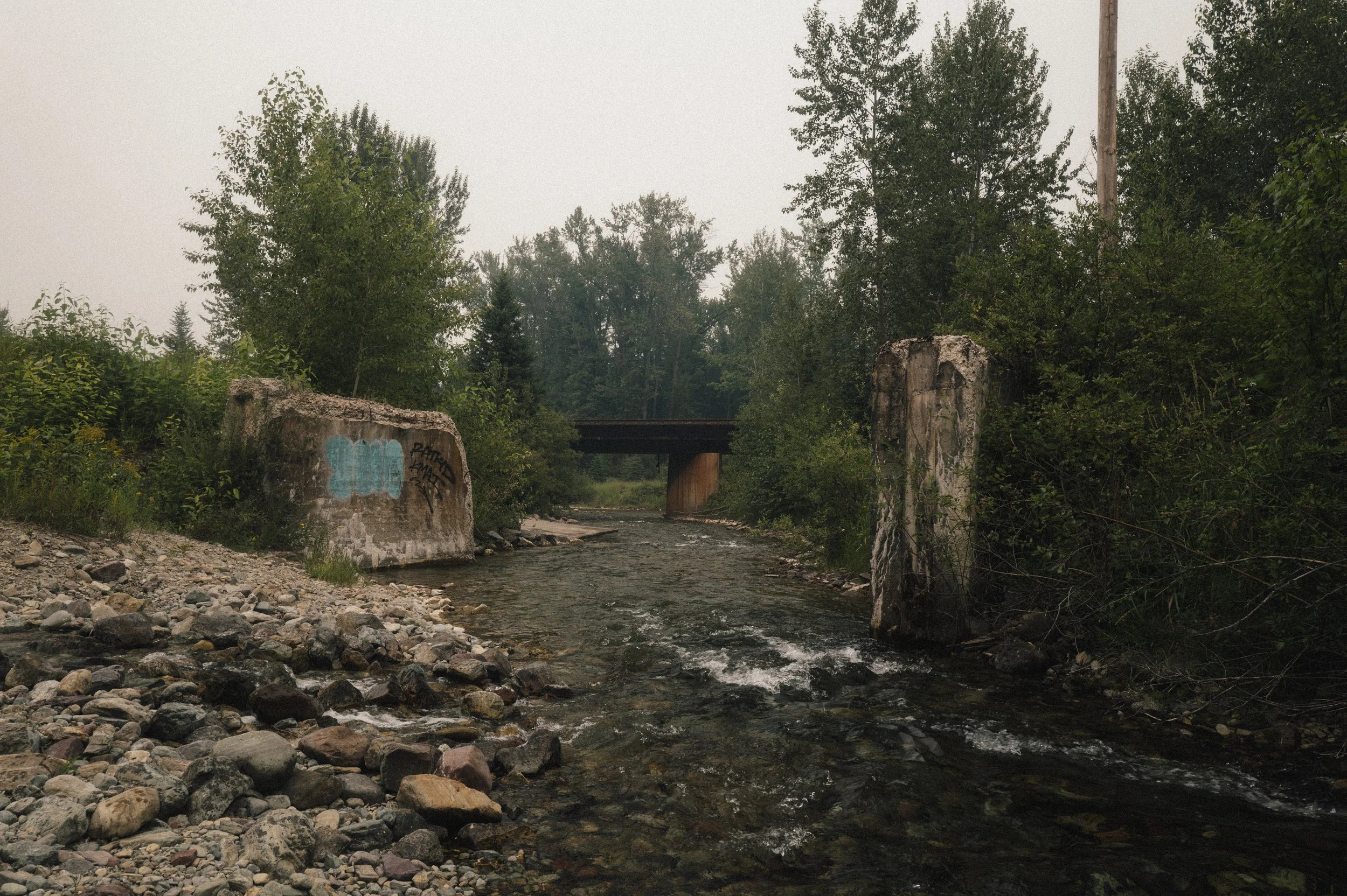 L1361555.jpg
