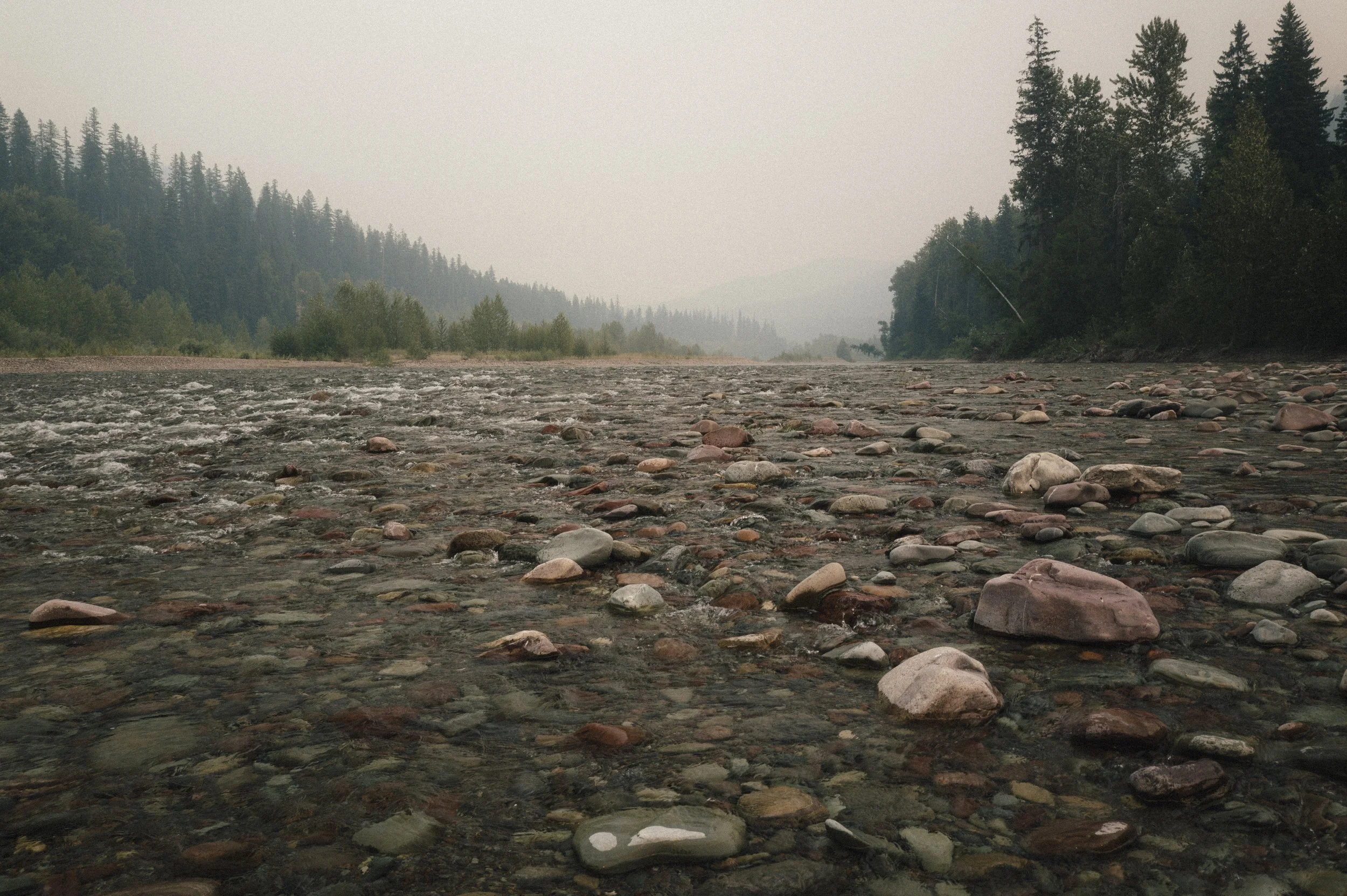 L1361563.jpg