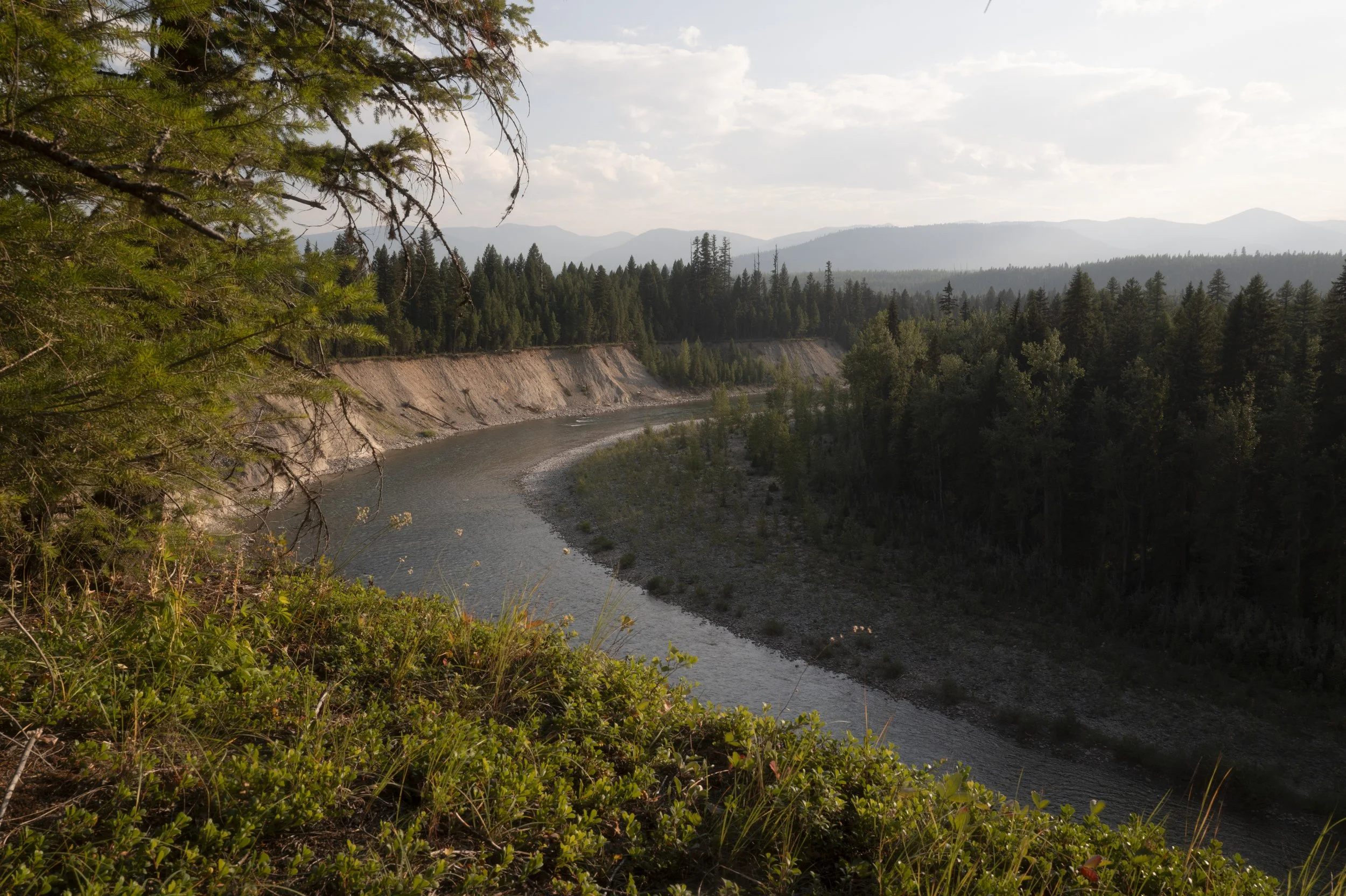 L1370018.jpg