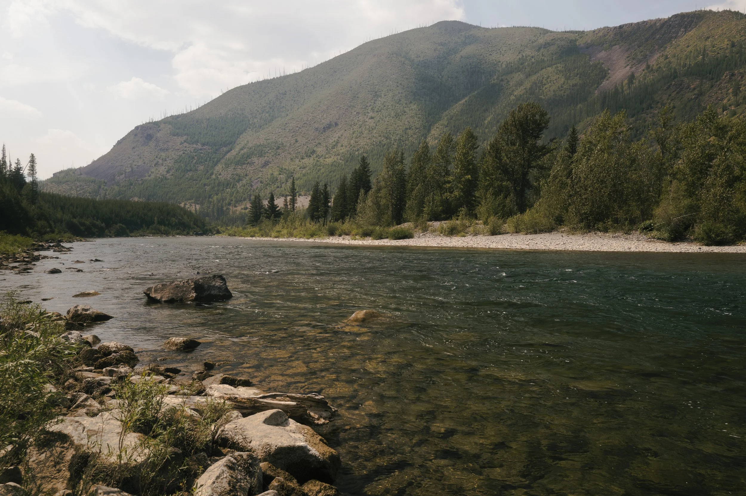 L1370334.jpg