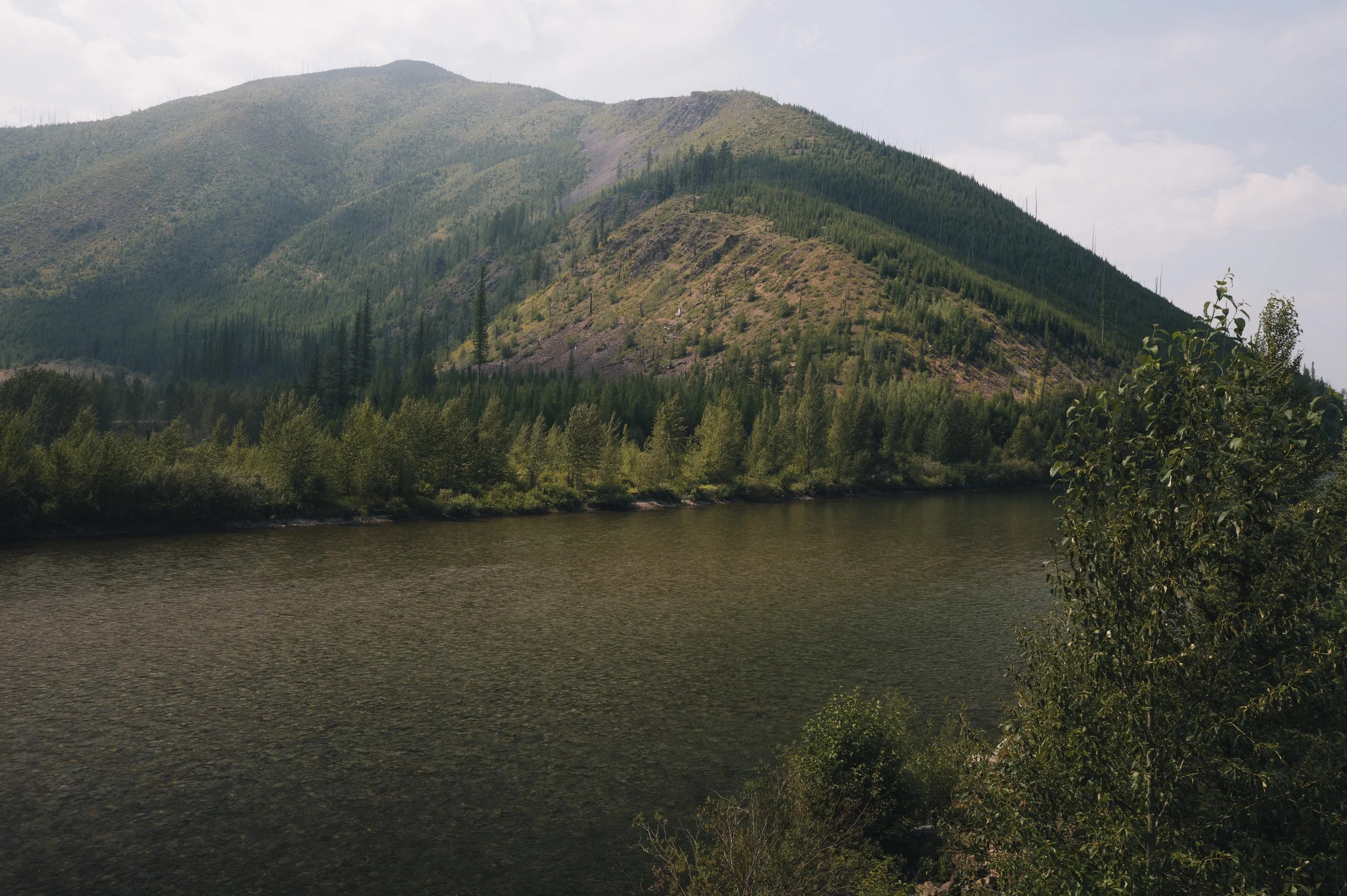 L1370336.jpg