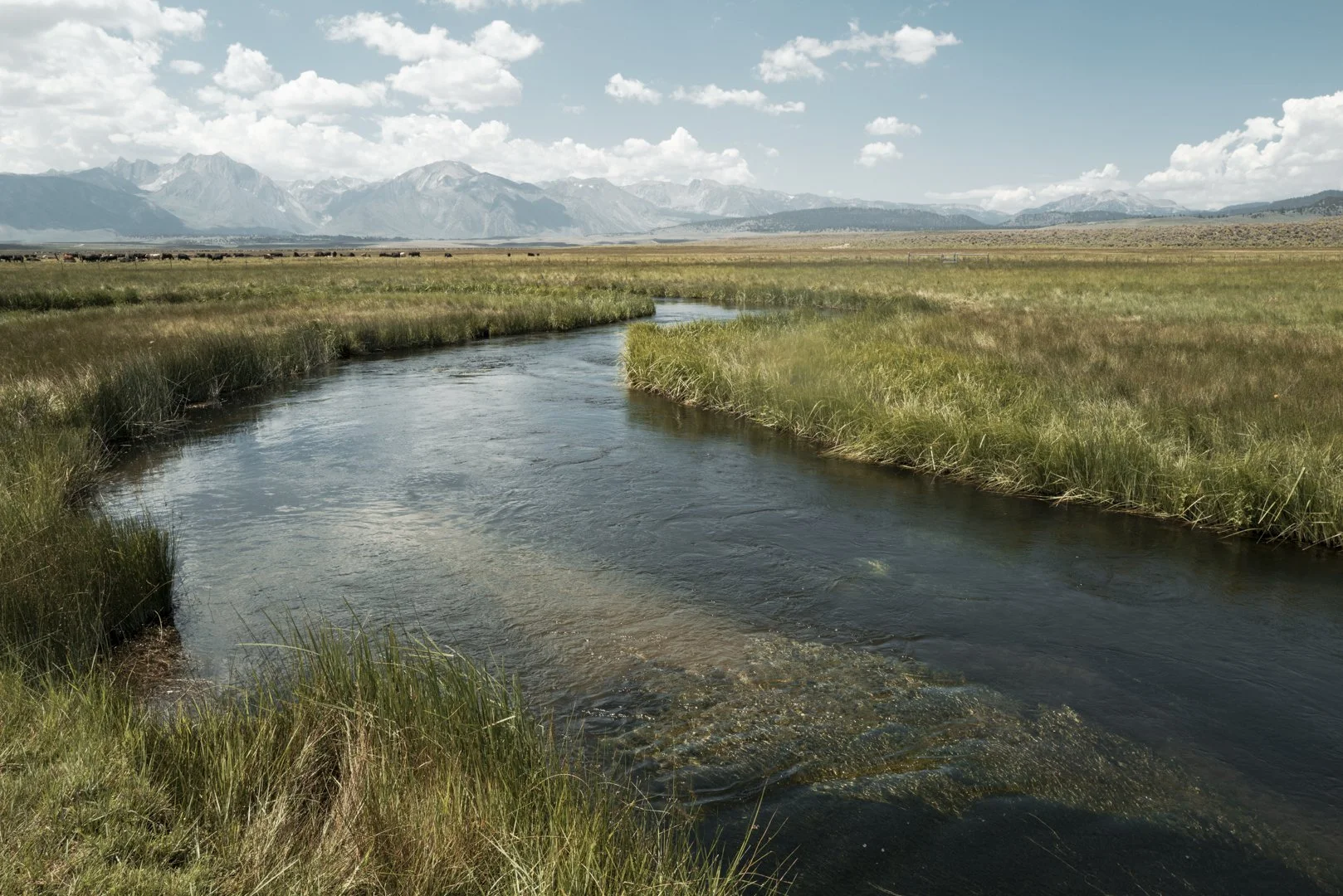 A winding river flowing through grassy plains with mountains in the background and a partly cloudy sky.