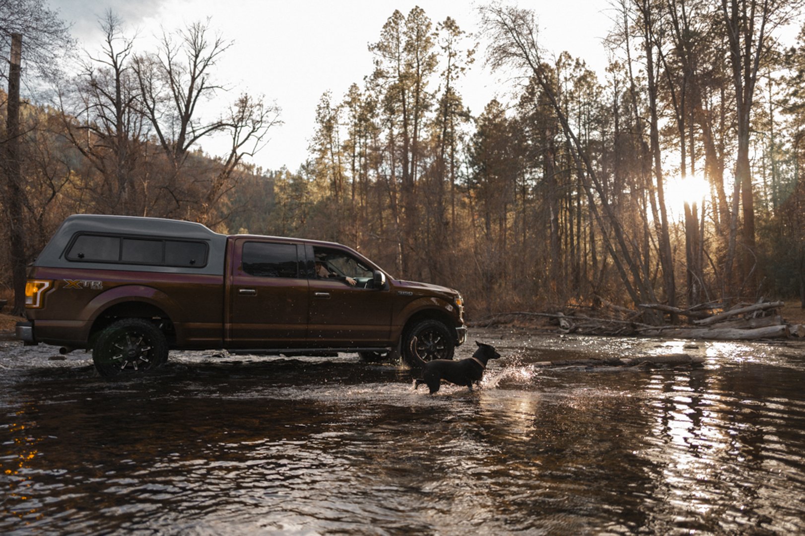 A brown pickup truck with a gray canopy in a shallow river or stream during sunset, with a dog playing in the water nearby and a forest in the background.