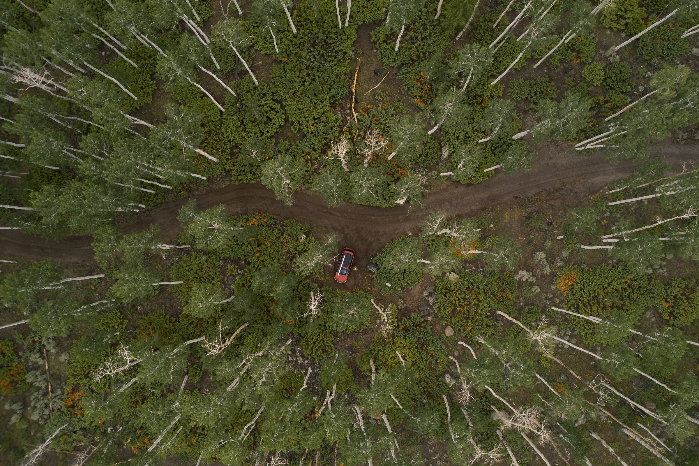 DJI_0225 4.jpg