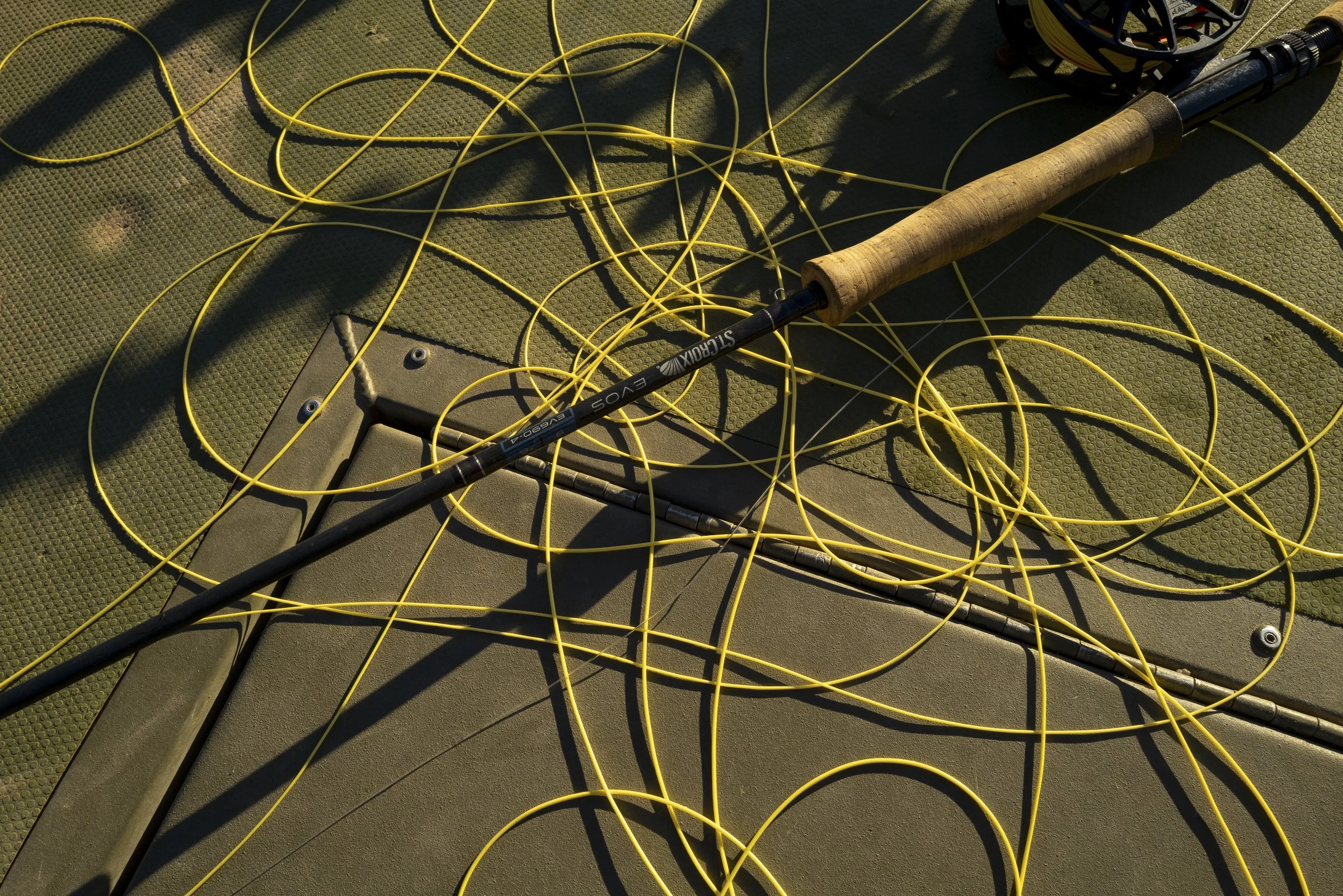 L1650659 6.jpg