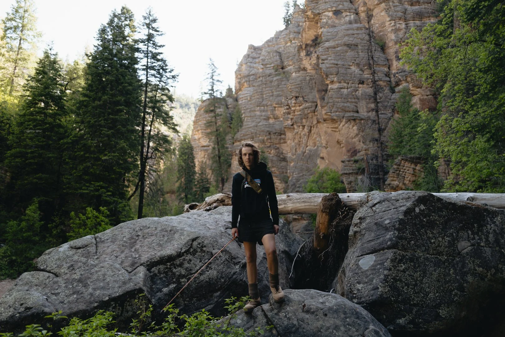 A woman stands on large rocks in a forested canyon with tall trees and steep rock cliffs in the background.