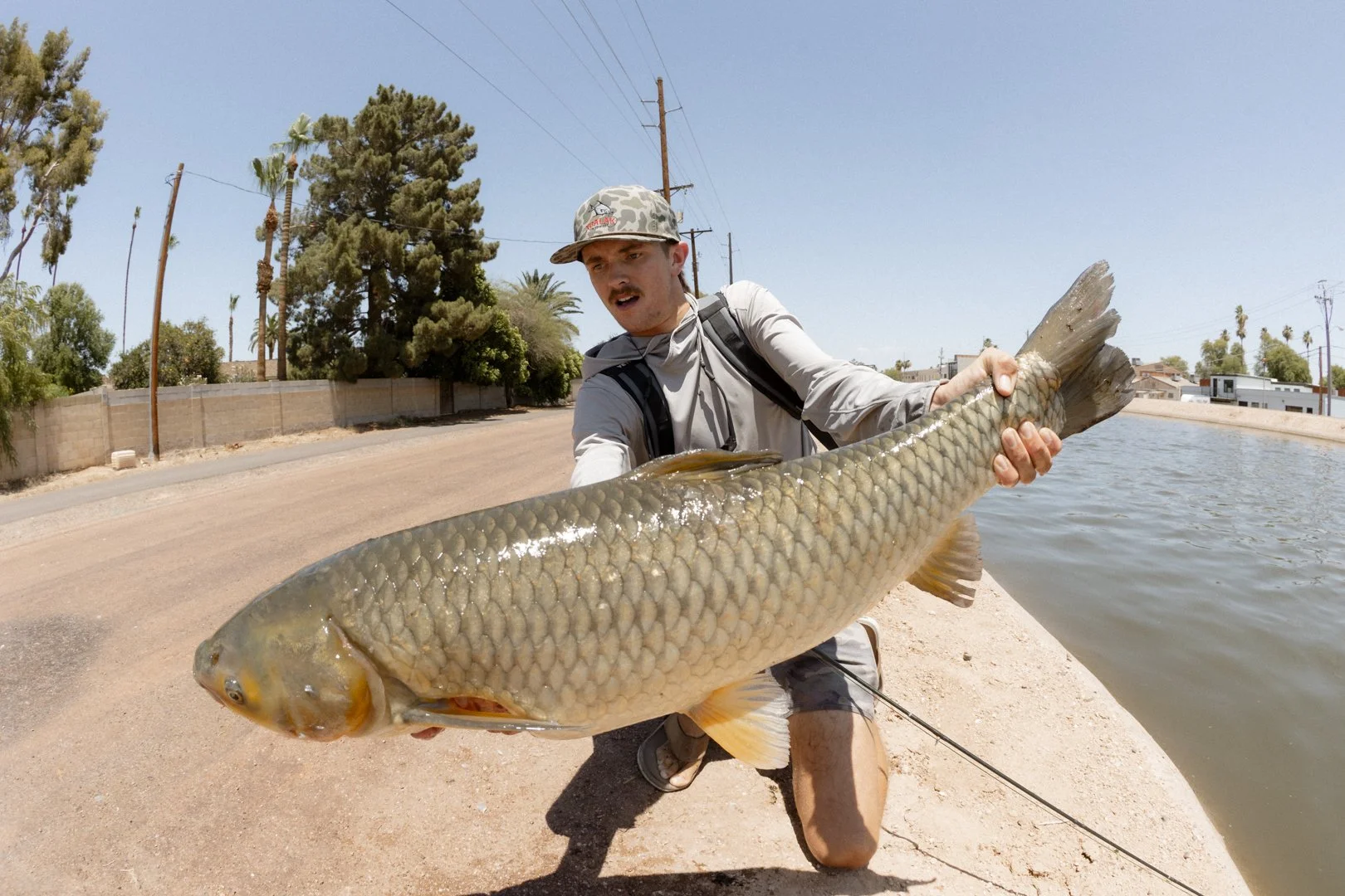 A man kneeling on a sidewalk next to a body of water, holding a large fish with both hands.