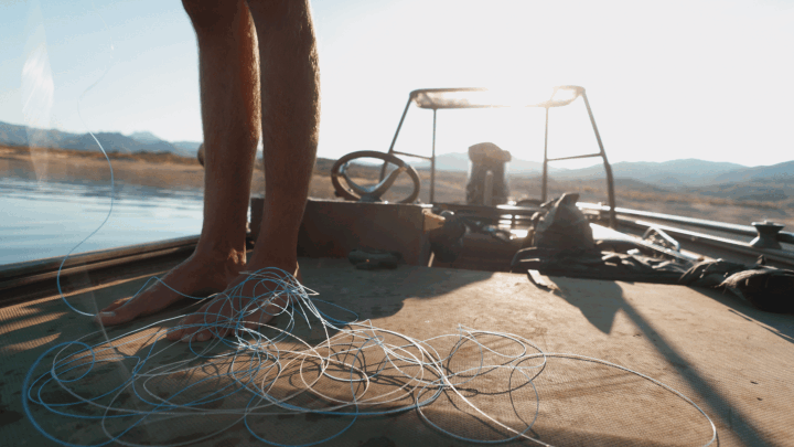 Niko line releasing.gif