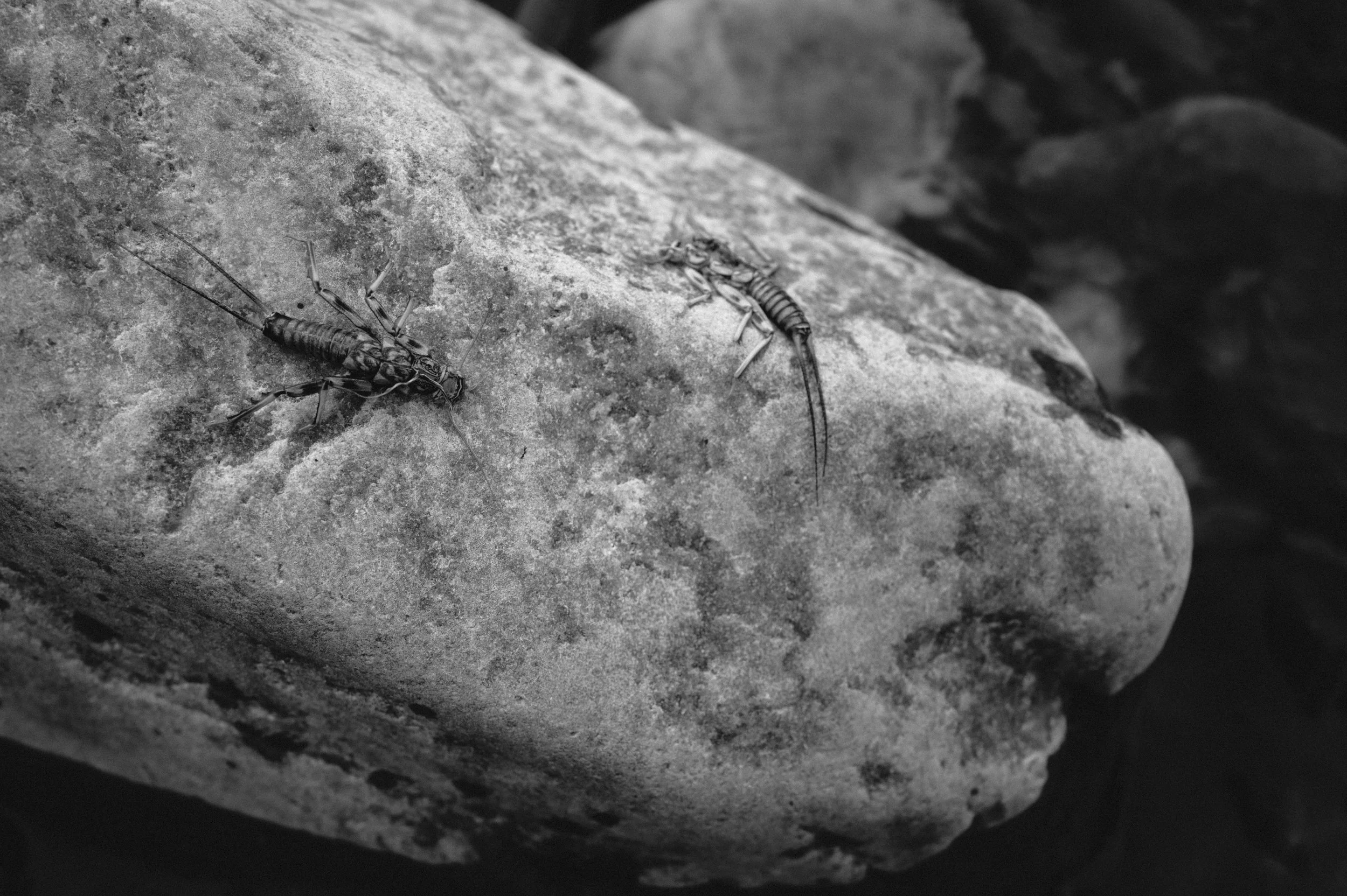 L1361568.jpg