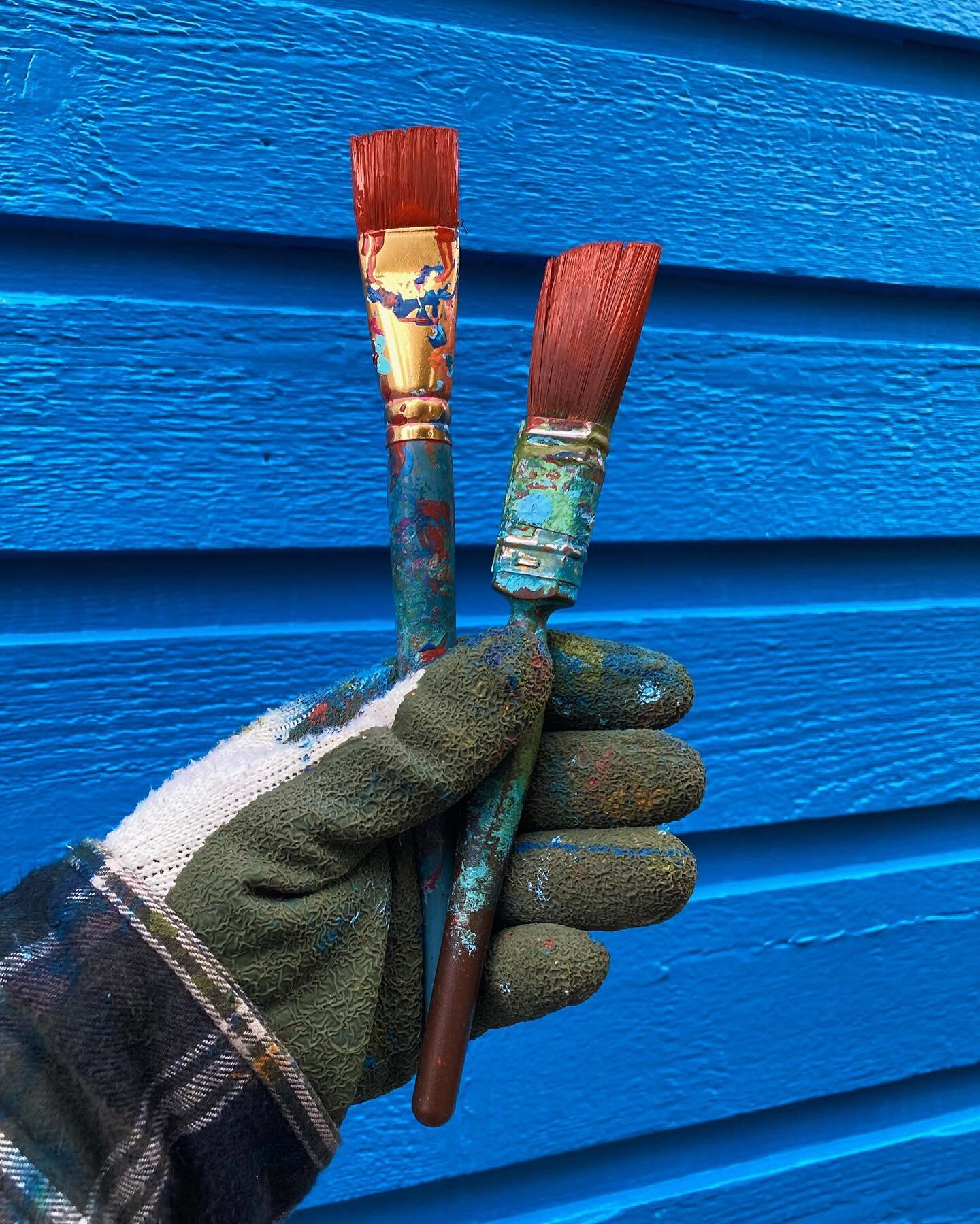 ✨ Perks of winter painting: brushes stay fresh forever ✨
.
.
.
.
#ladieswhopaint #mural  #muralart #coastalart #alwayshandpaint #handpaintedmurals #femaleartist #womenwhopaint #communityart  #WIP #Interiormural #outdoormurals