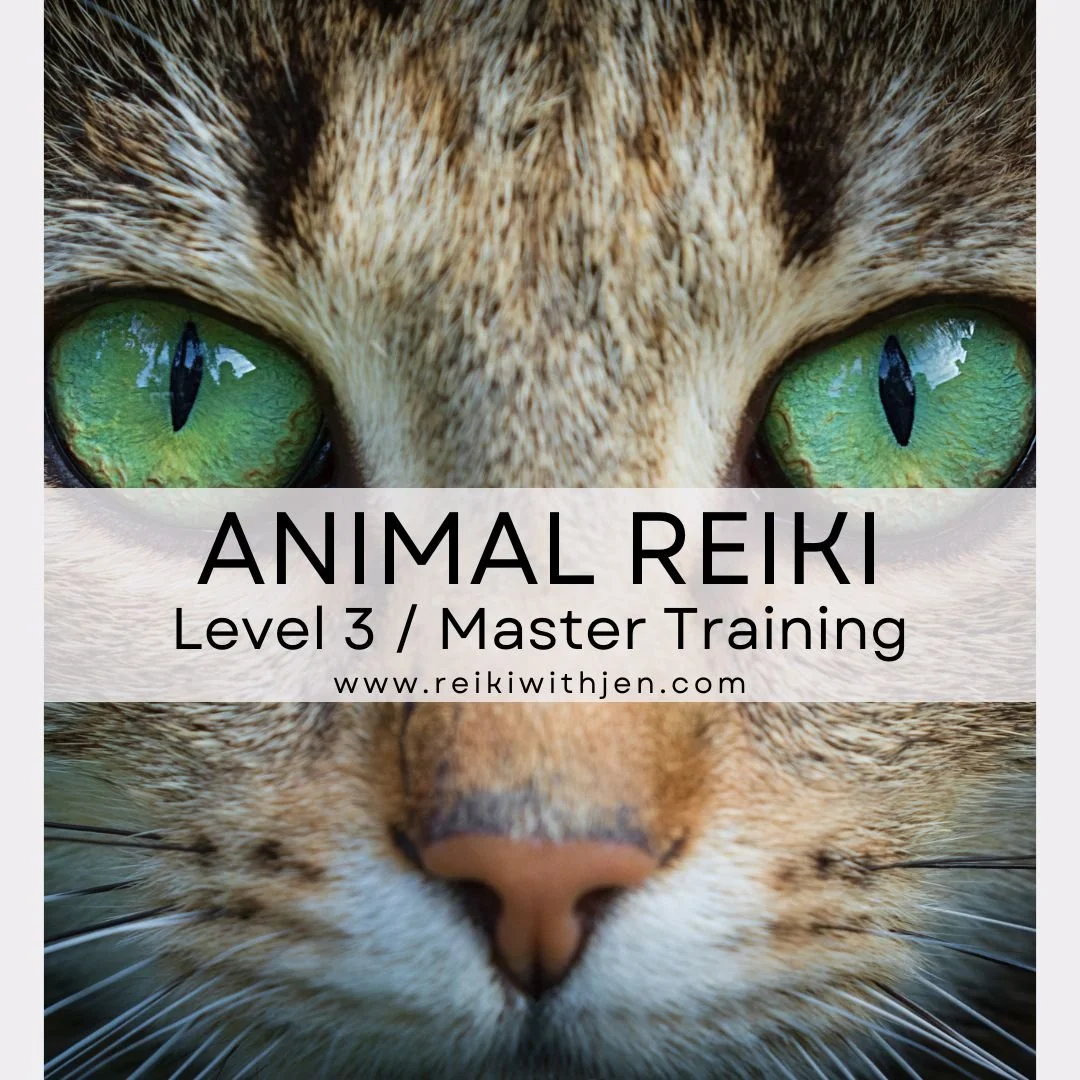 Copy of Animal Reiki online (1).jpg