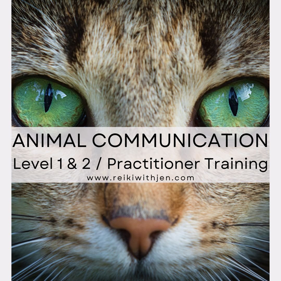 Animal Communication Reiki Practitioner.jpg