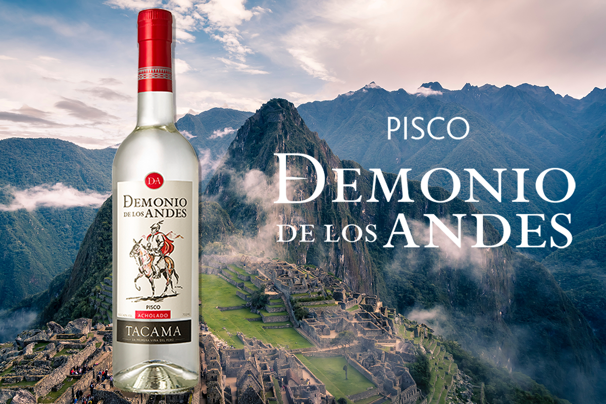 Pisco Linkedin Banner v1.png