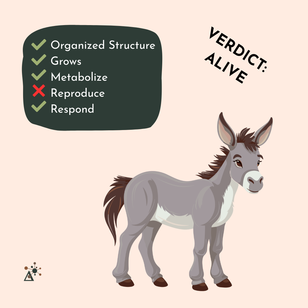 A pink background with a grey mule in the bottom right. On the top left there is a checklist. Check marks for organized structure, grows, metabolize, and respond. An X next to Reproduce. In the top right text reads: Verdict: Alive.