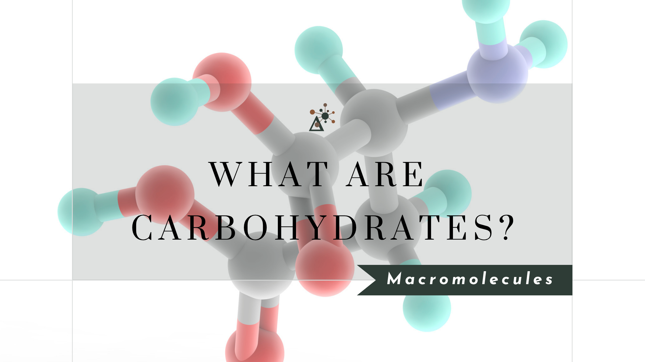 What Are Carbohydrates and Why Are They Important?