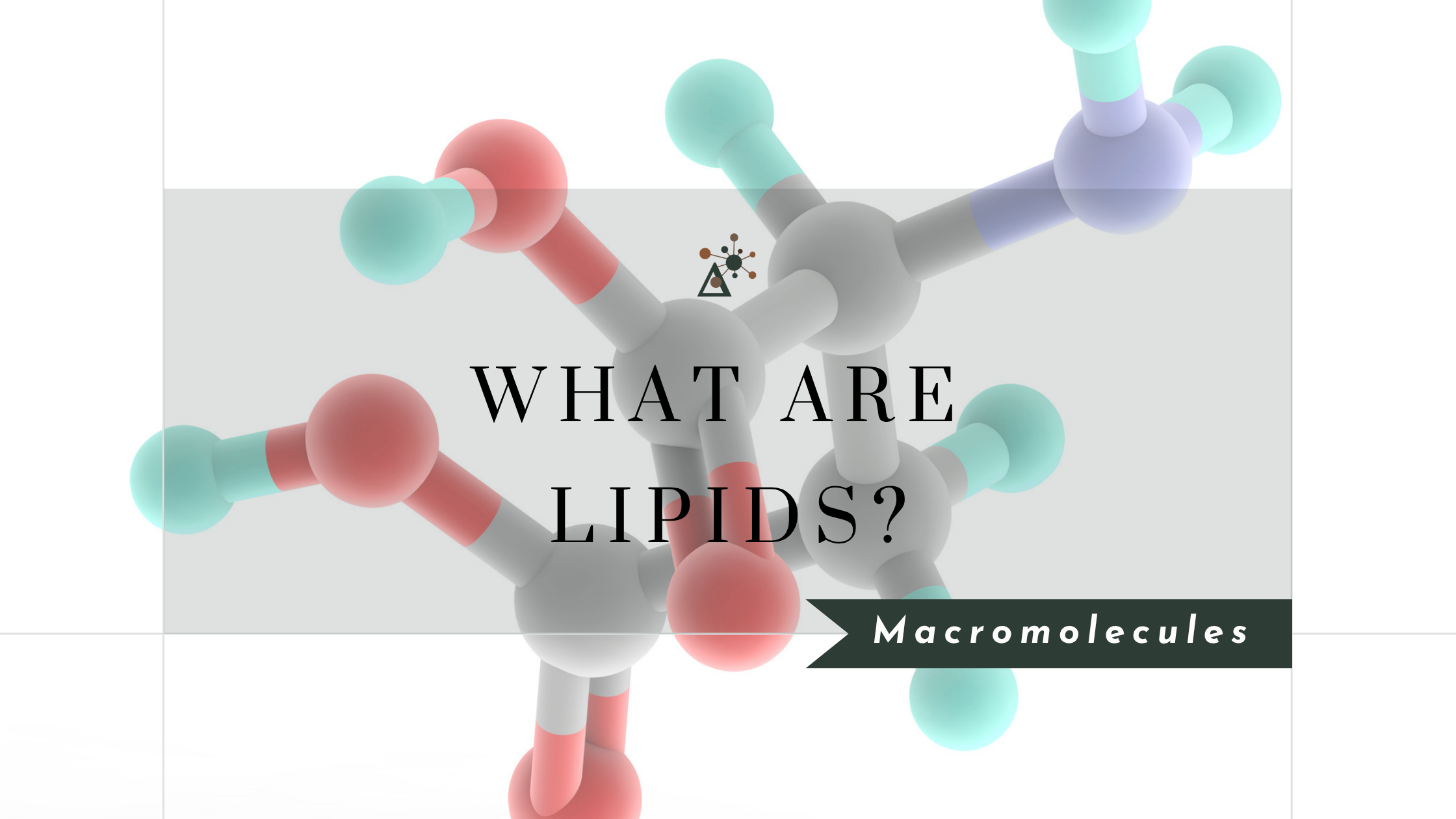 What Are Lipids and Why Do They Matter?