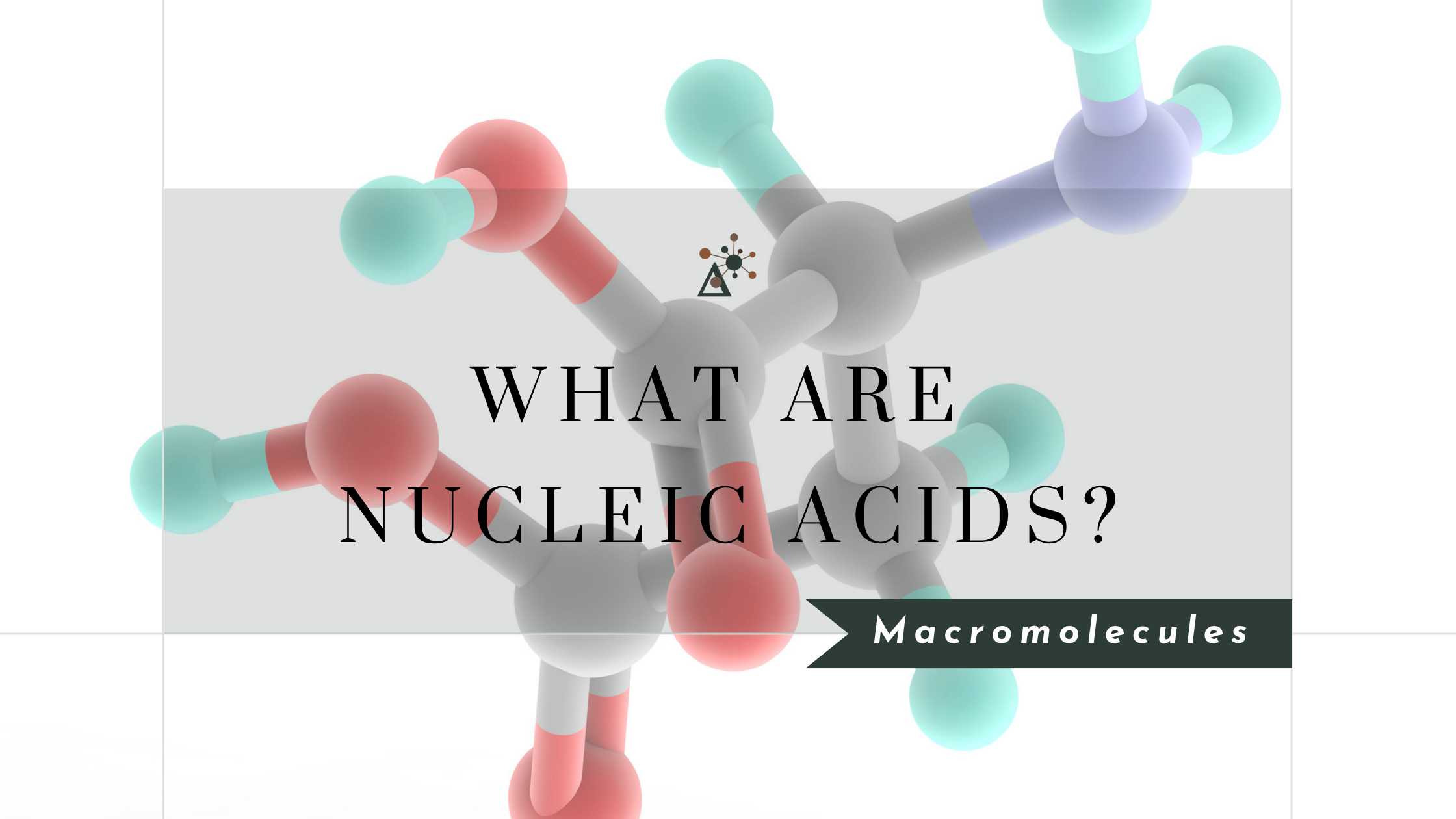What Are Nucleic Acids and Why Do They Matter?